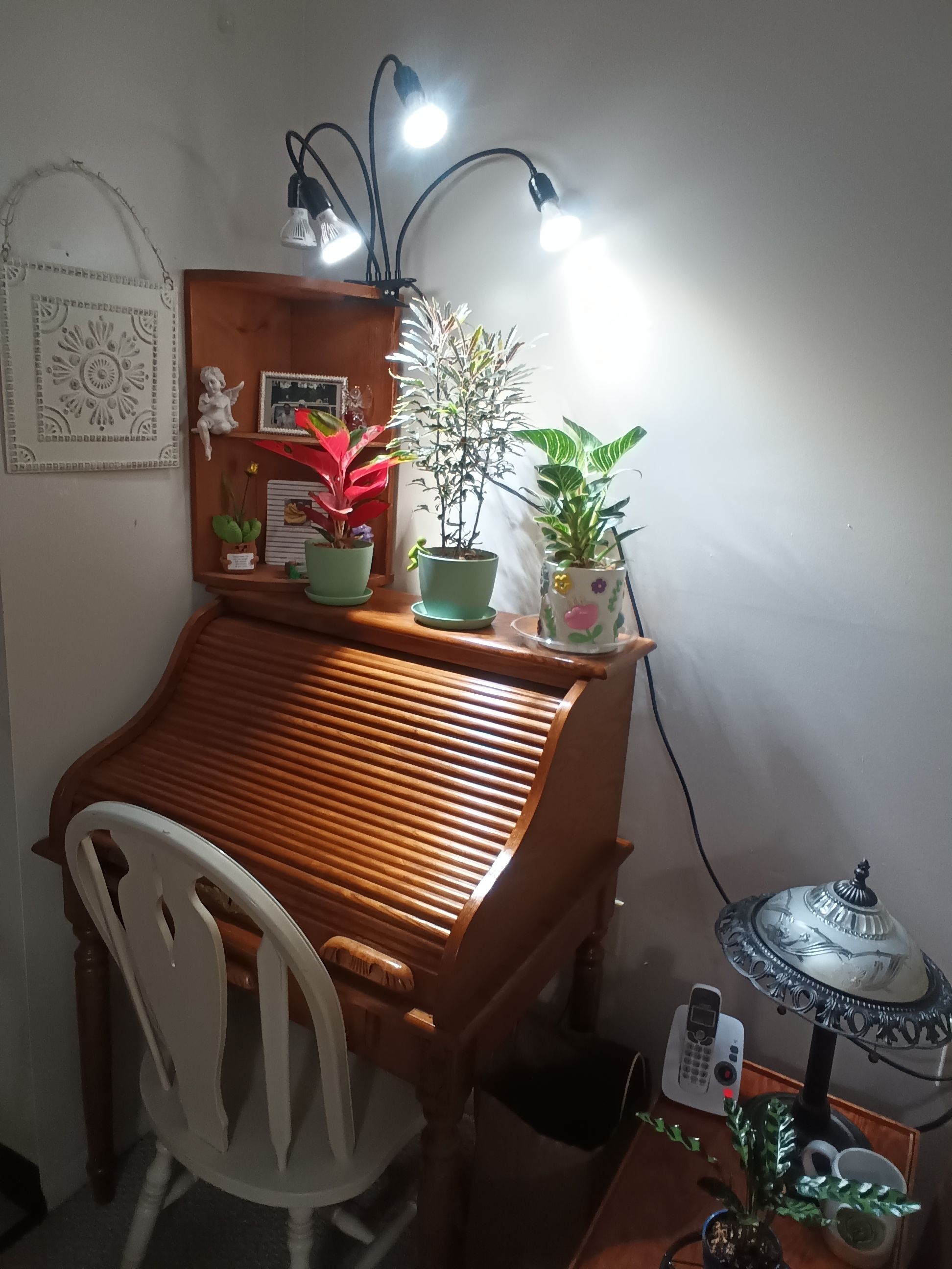 Photo from the post