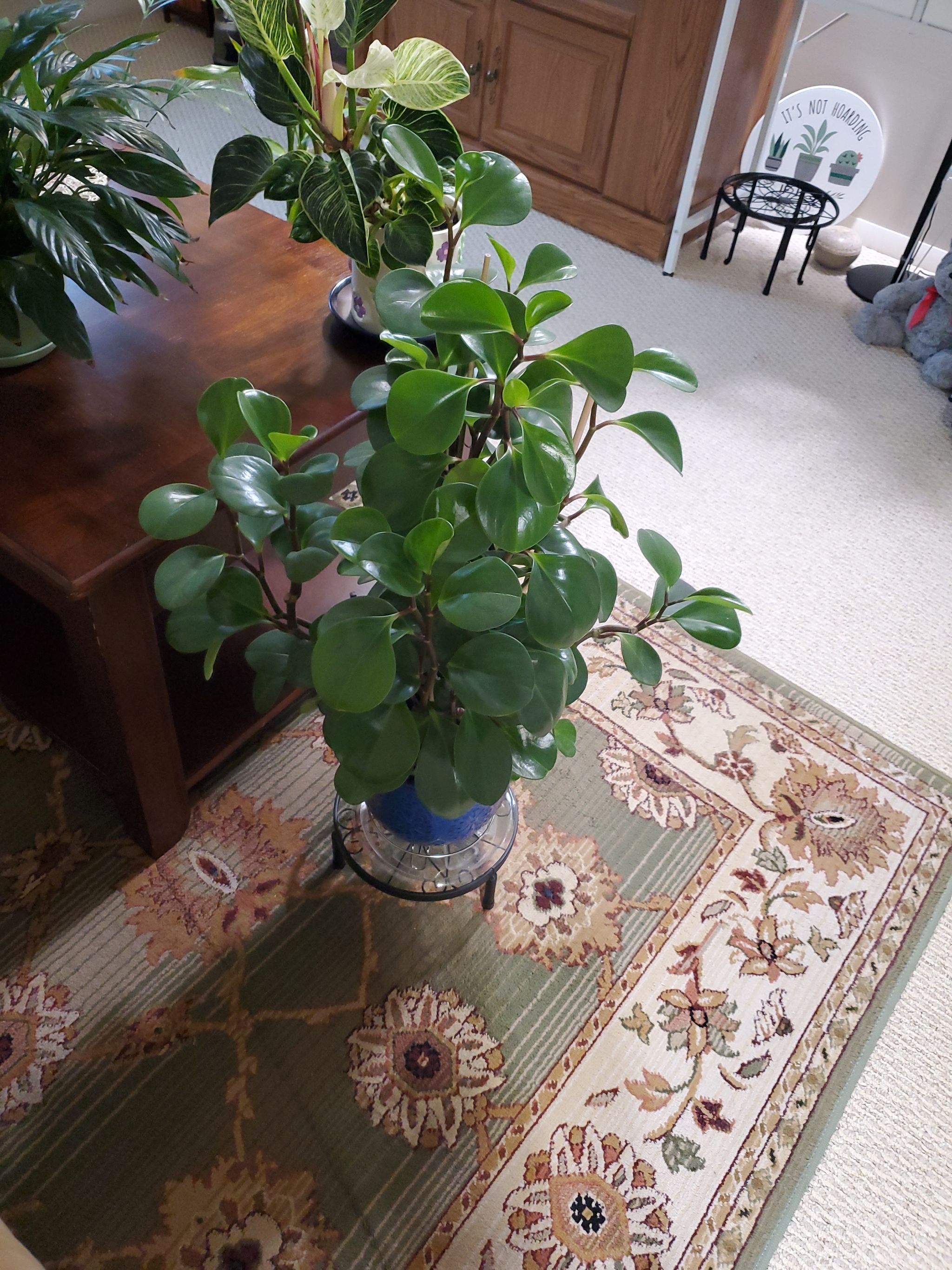 Photo from the post