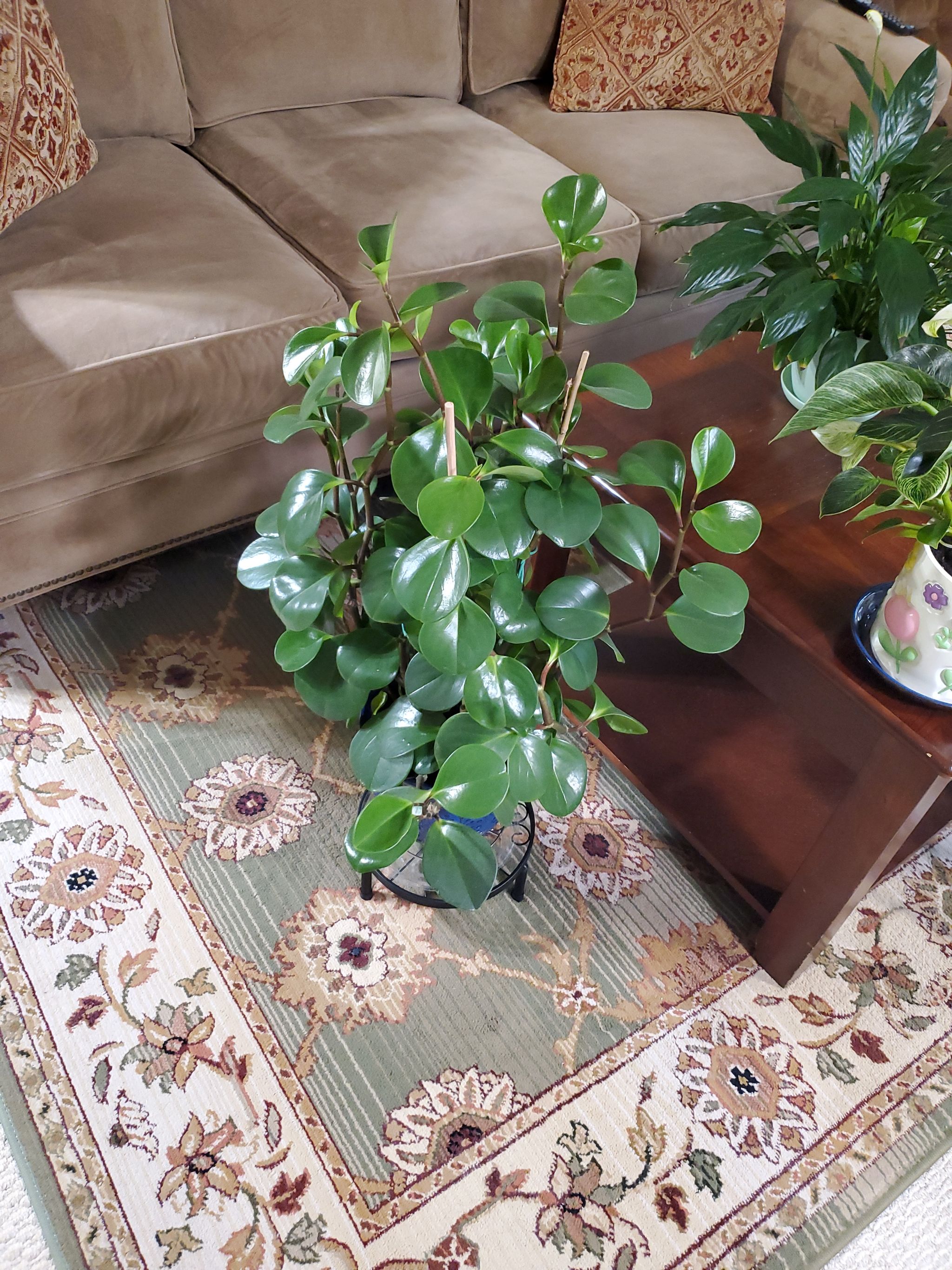 Photo from the post