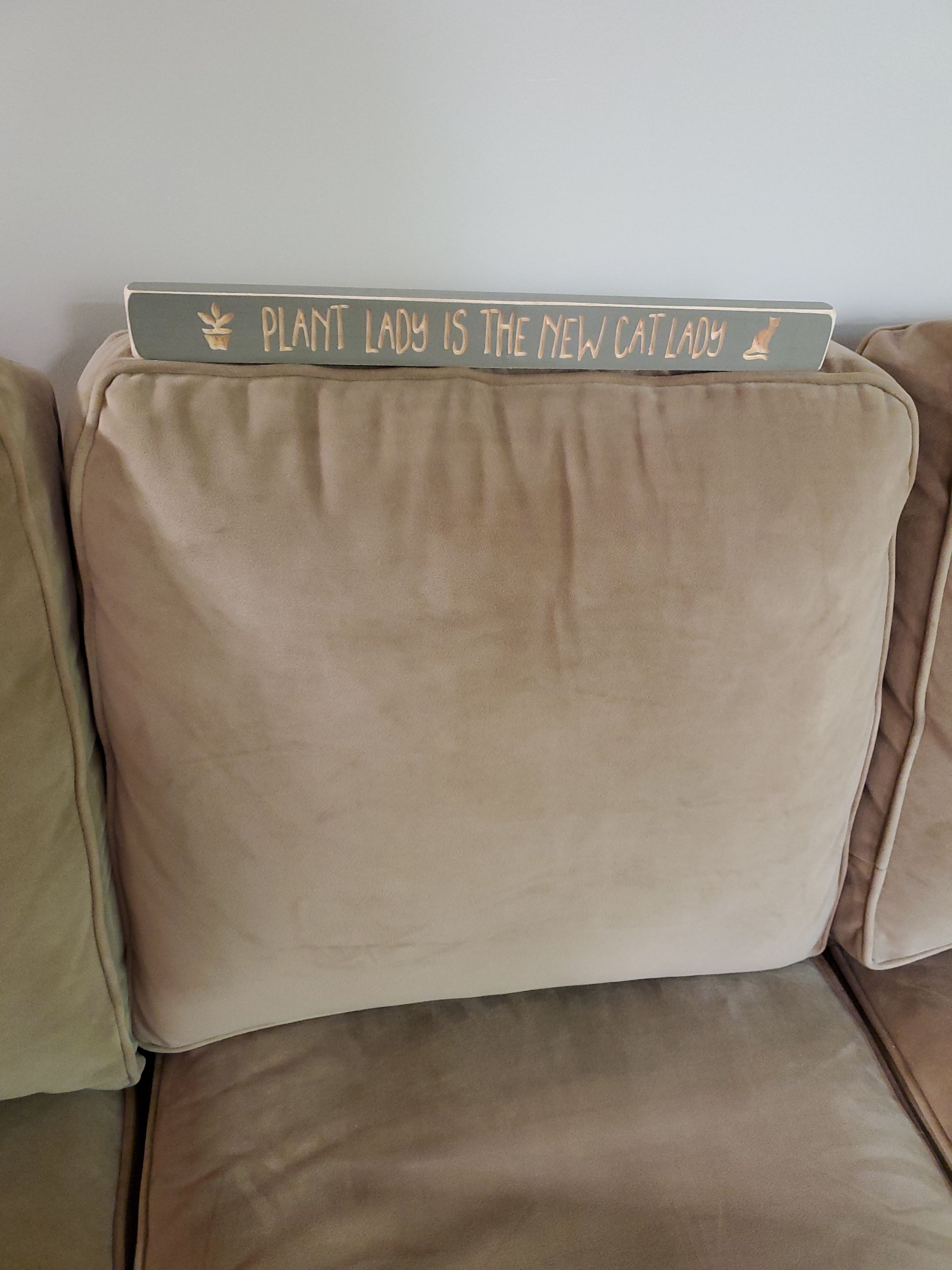 Photo from the post