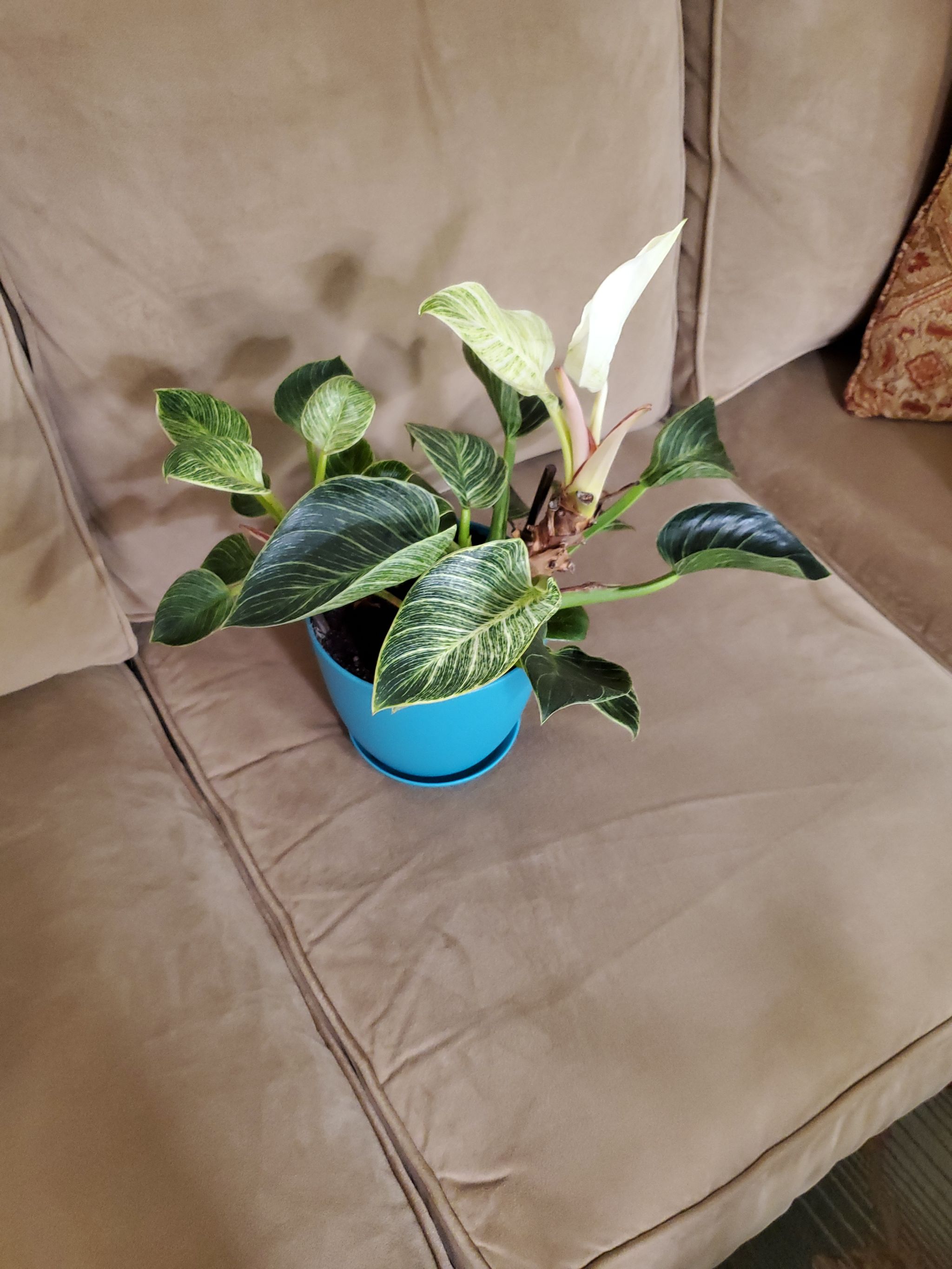 Photo from the post