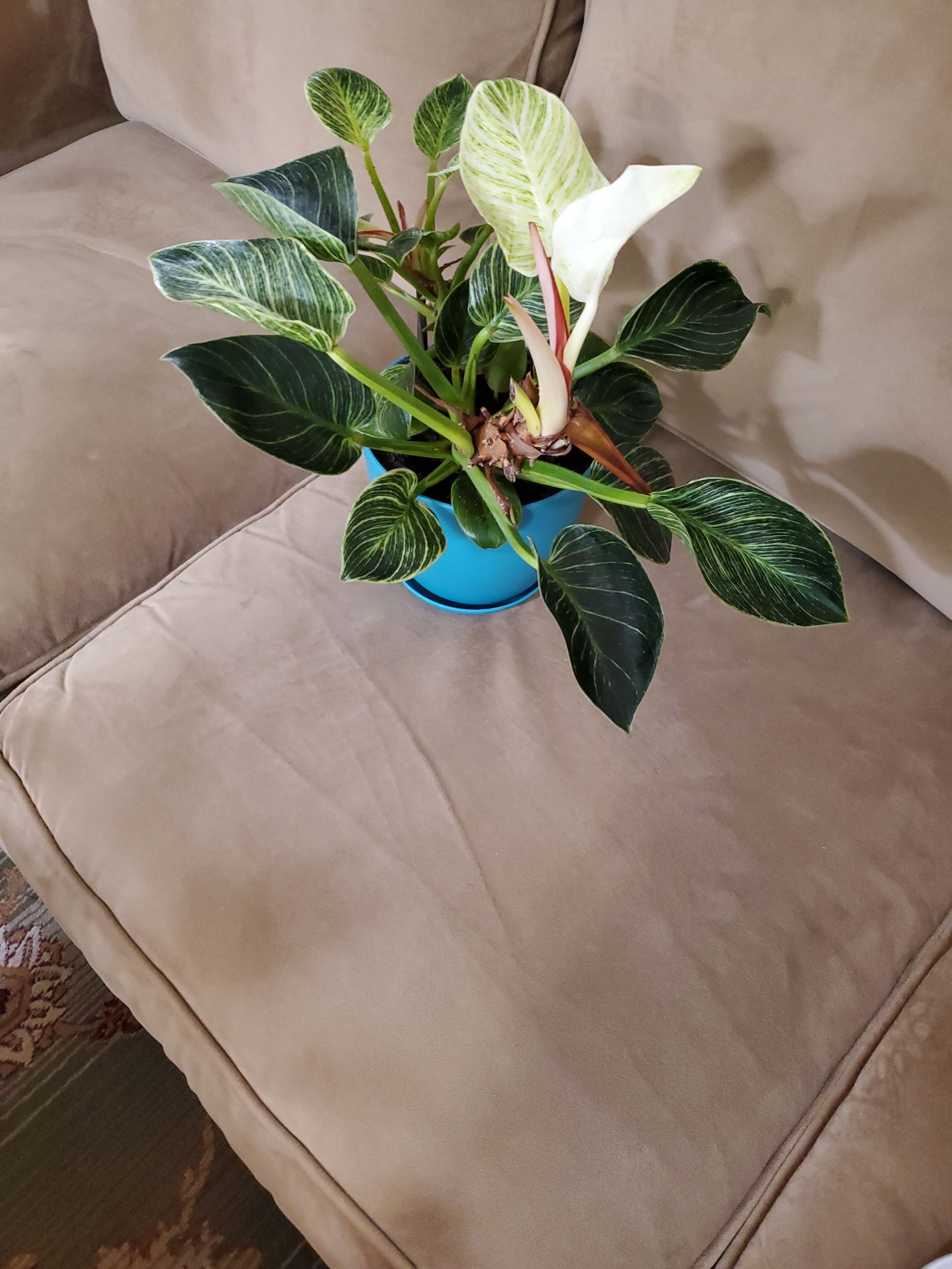 Photo from the post