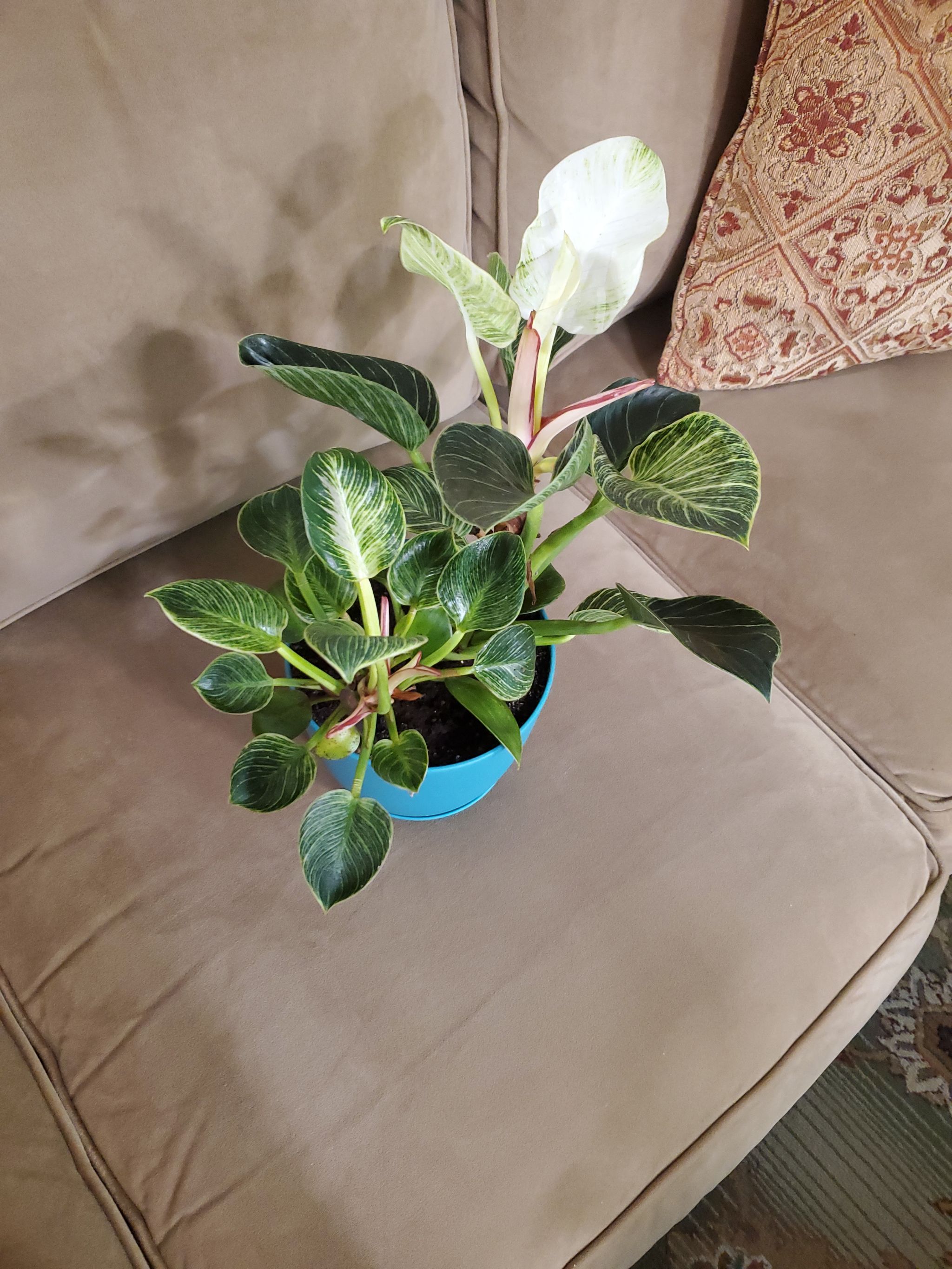 Photo from the post