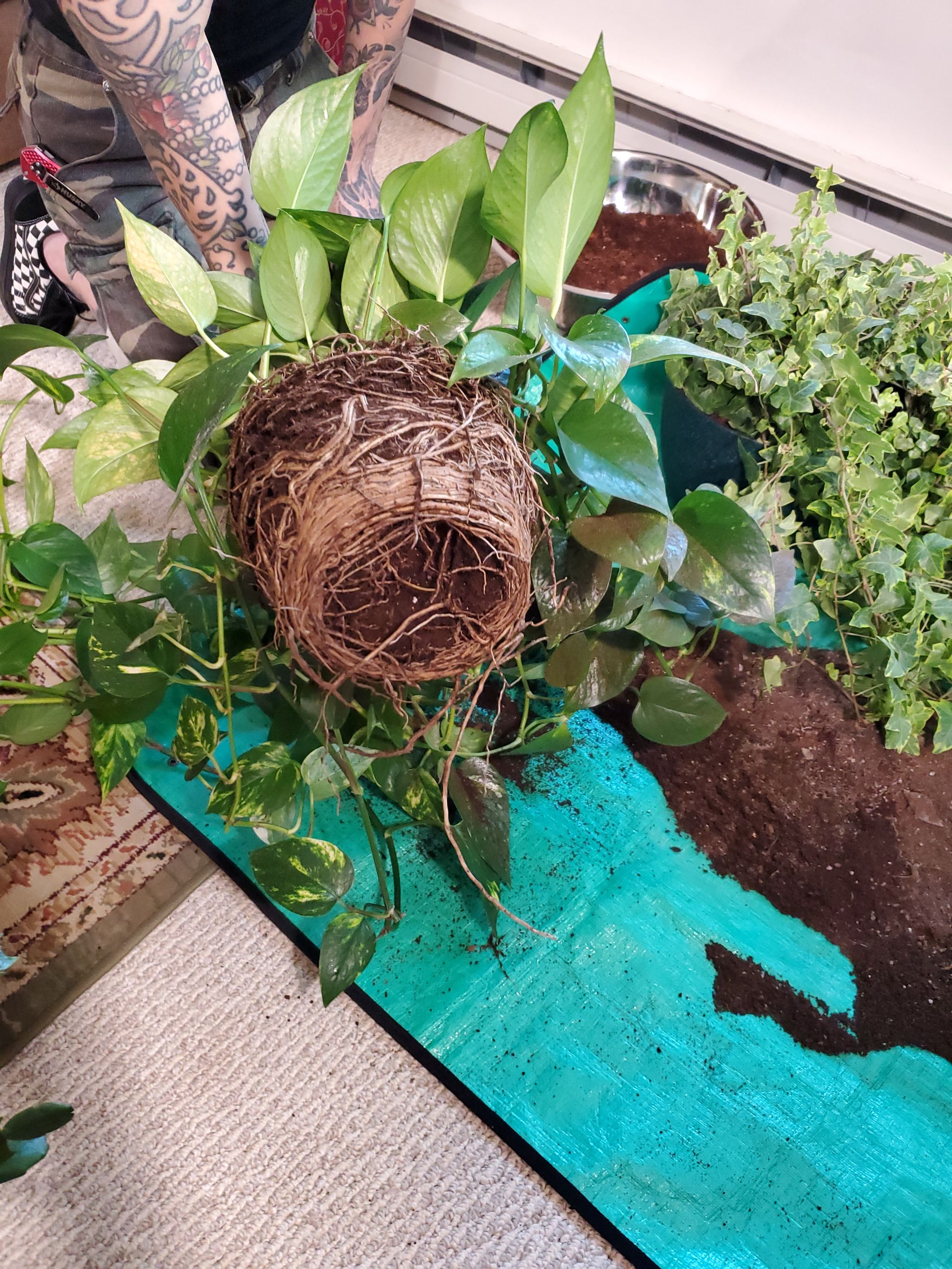 Photo from the post