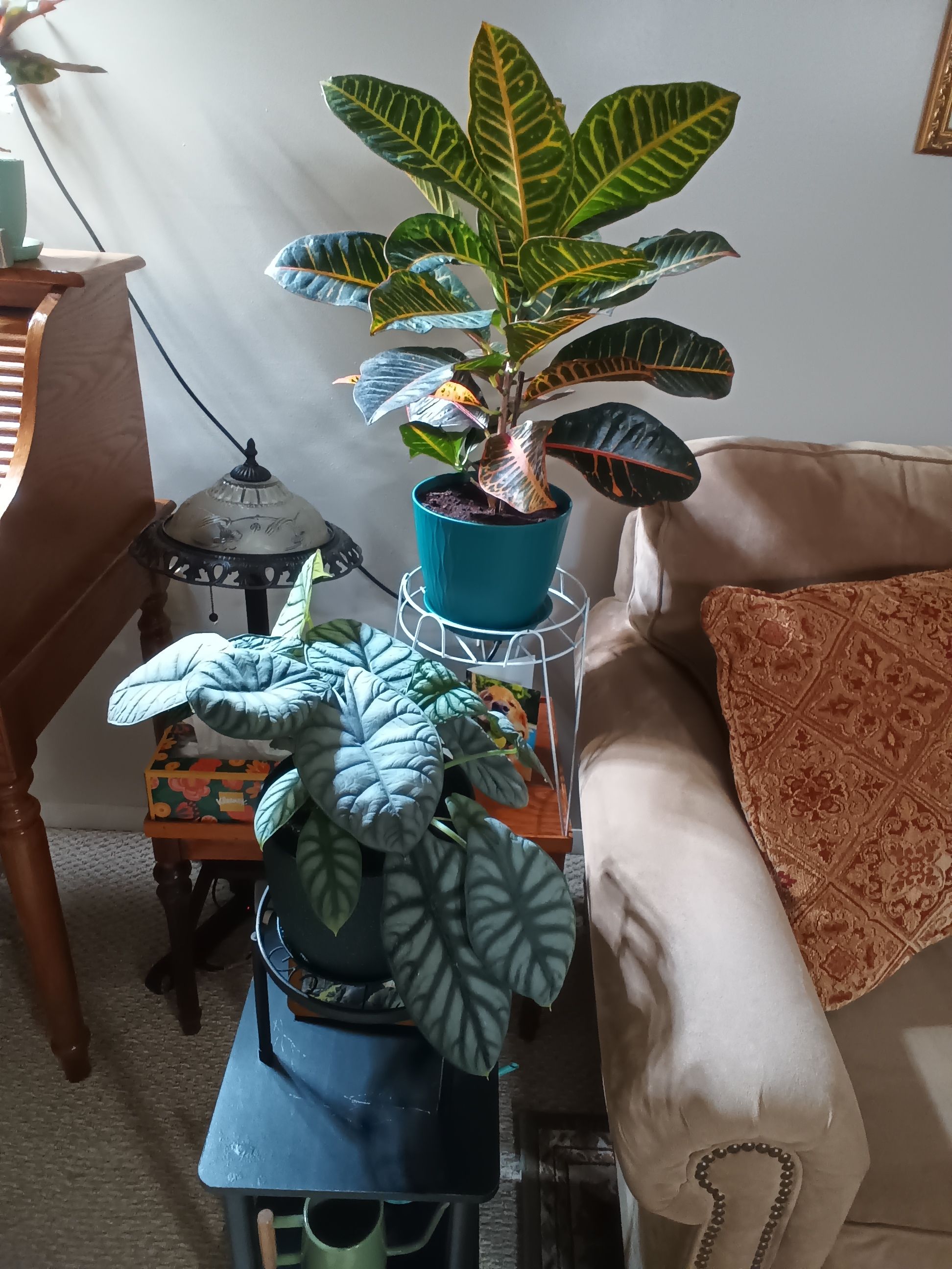 Photo from the post