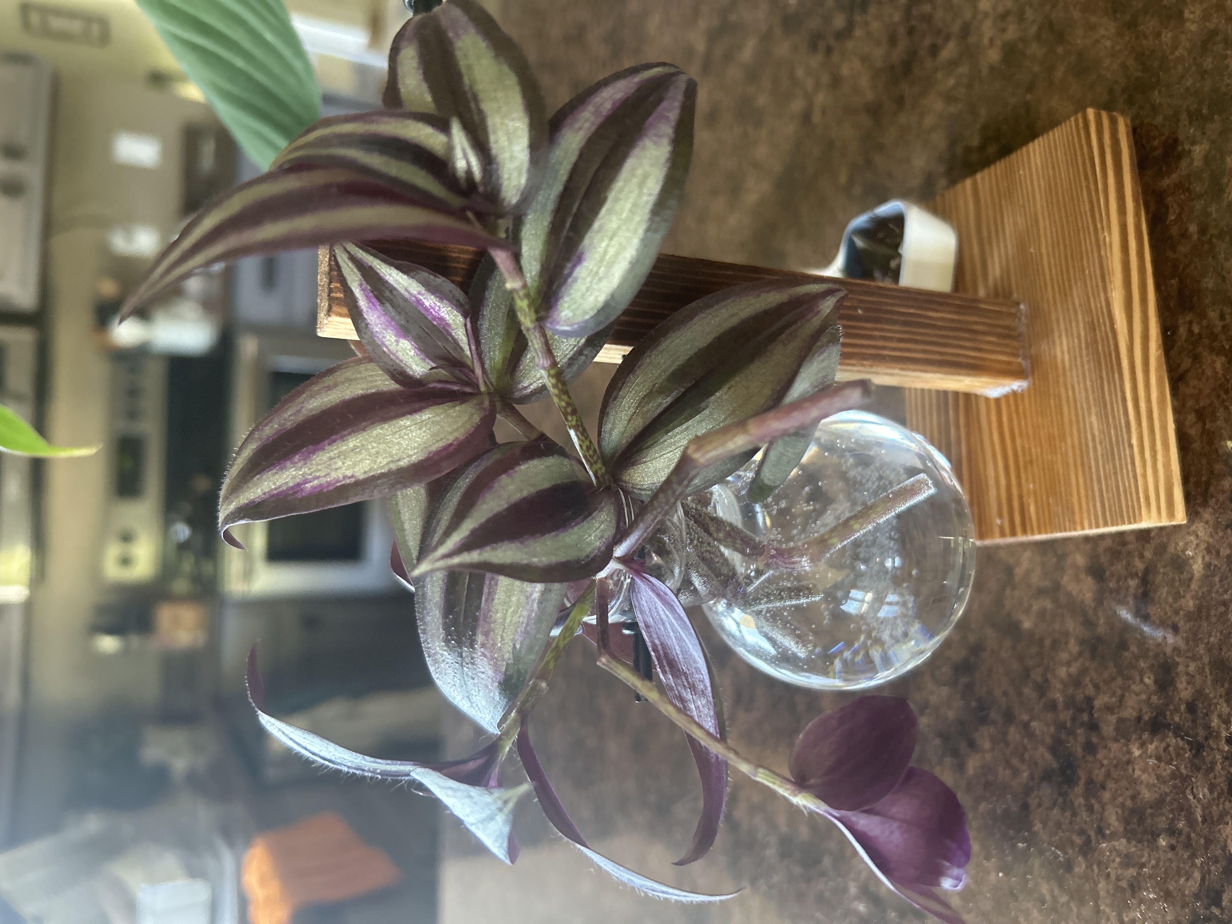 Photo from the post