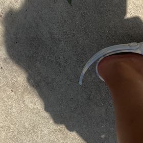 Photo of the plant species Desert Christmas Tree by @SweetFivespot named Forrest on Greg, the plant care app