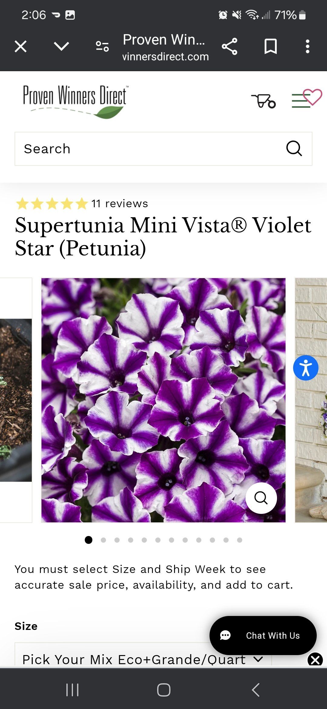 Photo of the plant species perunias by @FlashySuriana named Violet Star on Greg, the plant care app