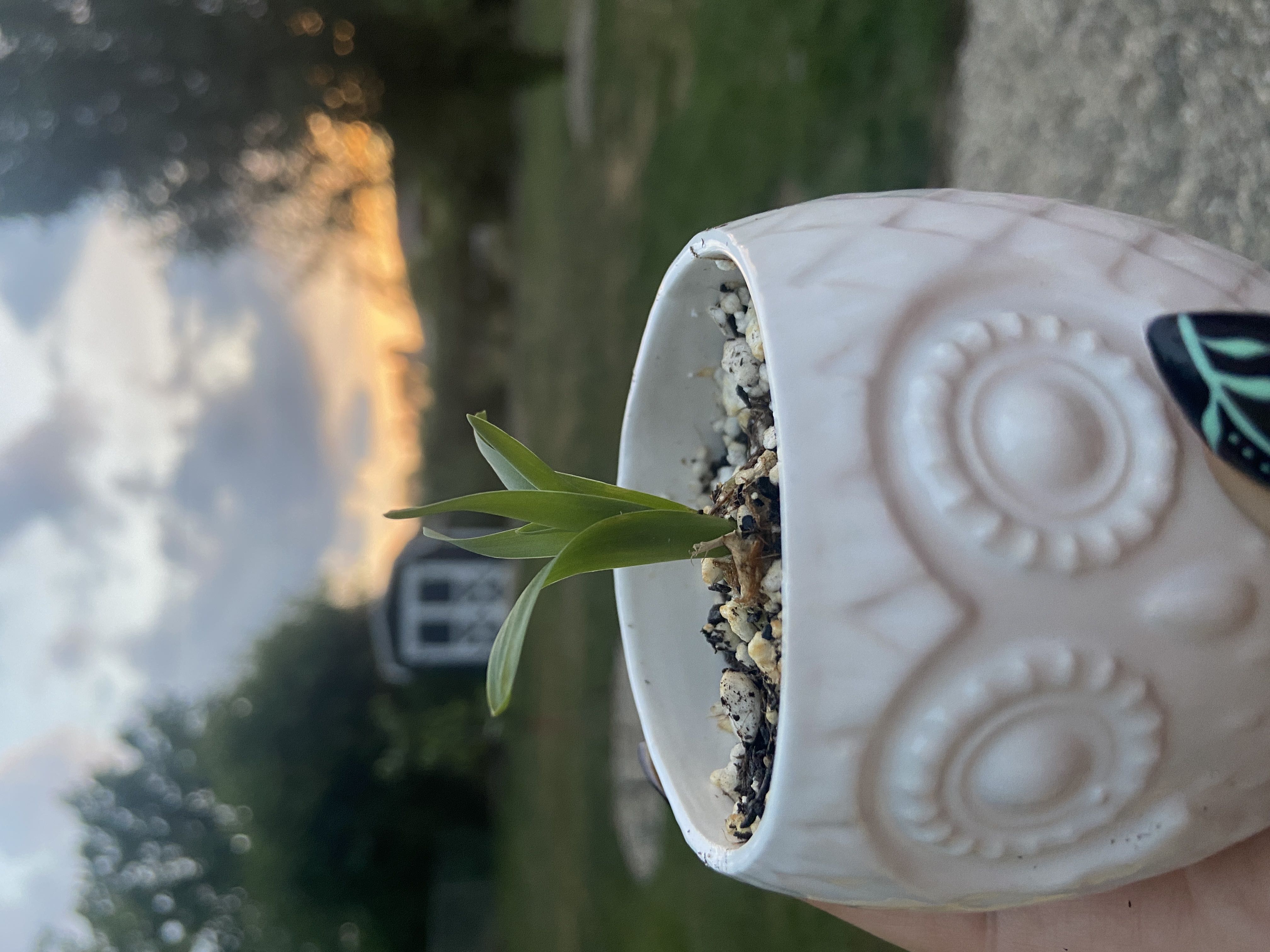 Photo from the post