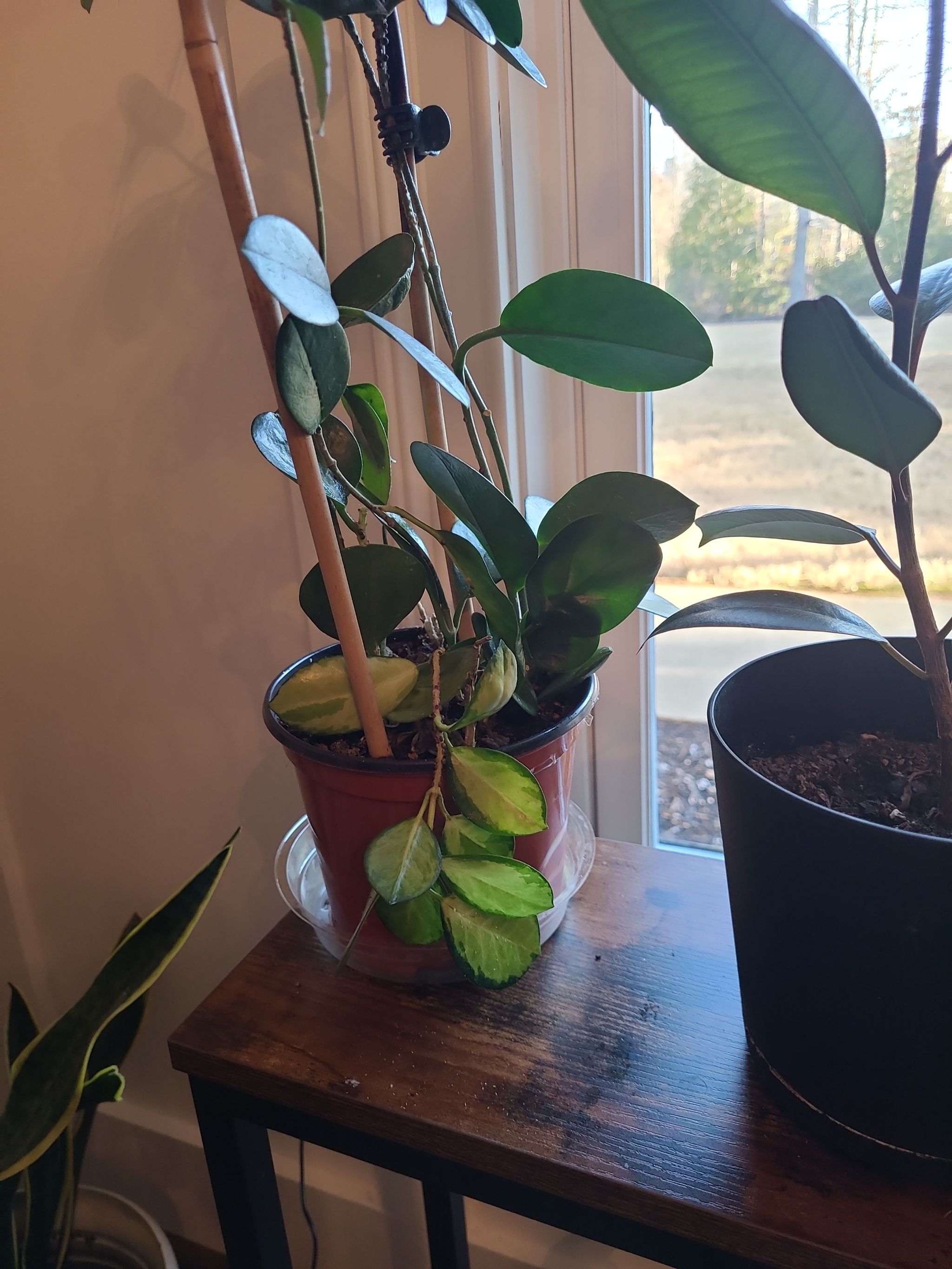 Photo from the post