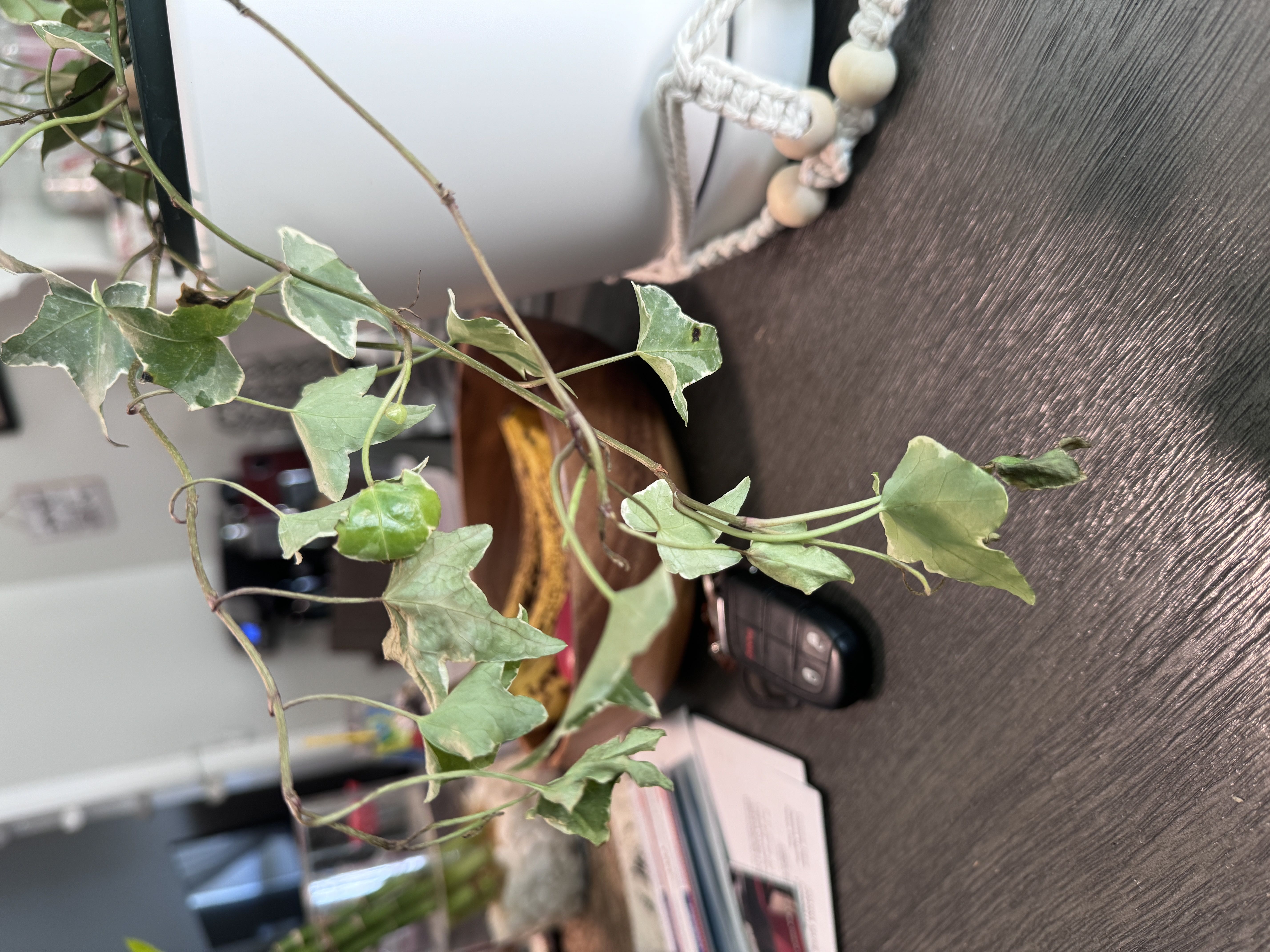 Photo from the post