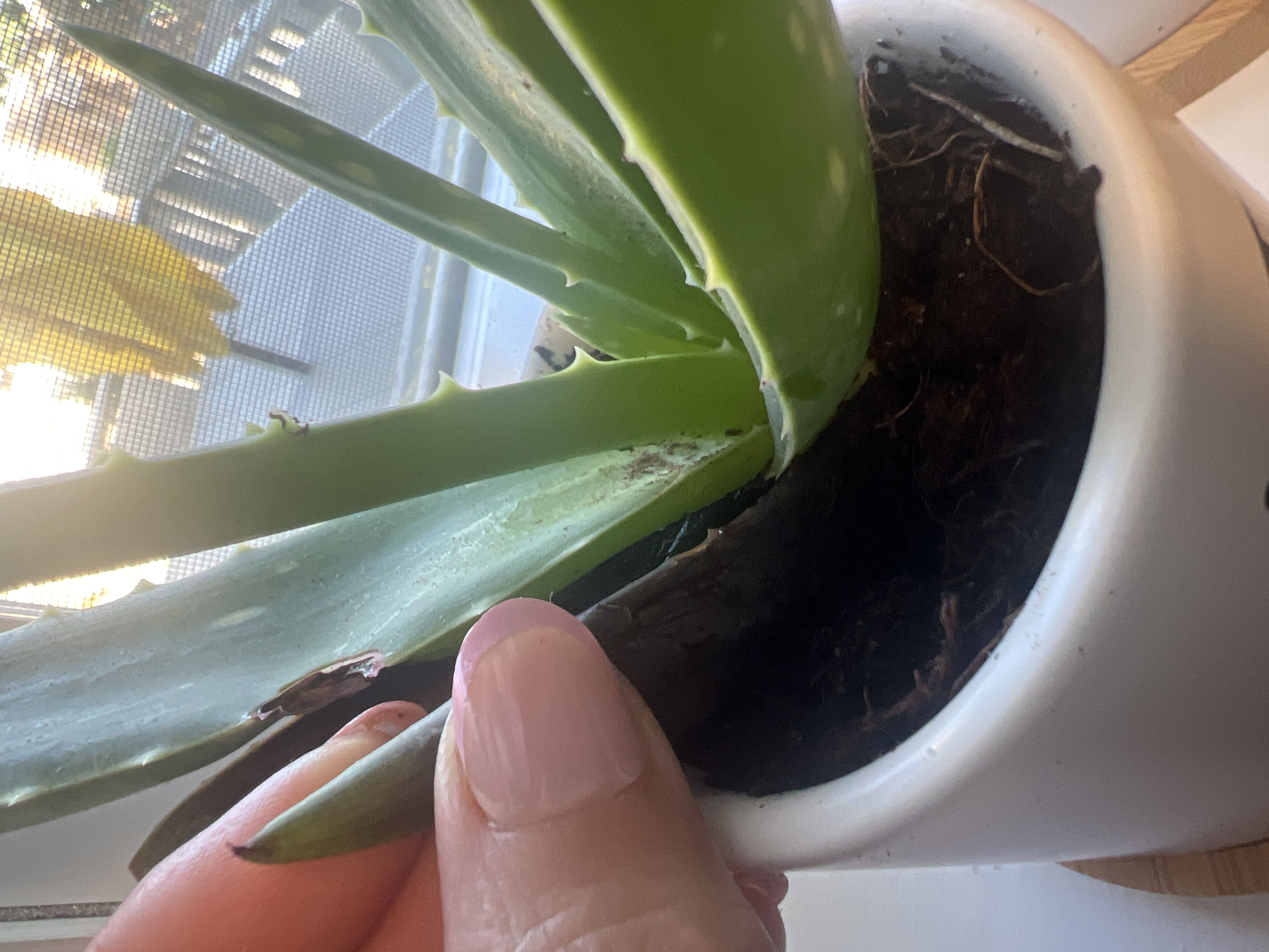 Photo from the post