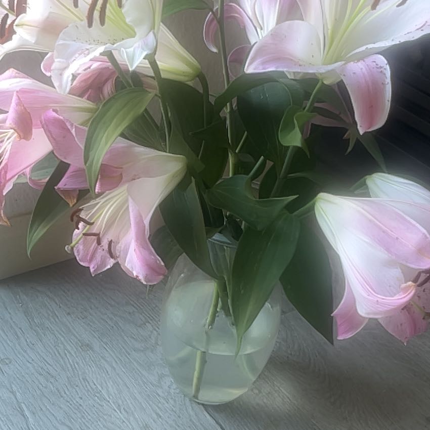 Bouquet of Madonna Lily flowers in a vase, slightly out of focus.
