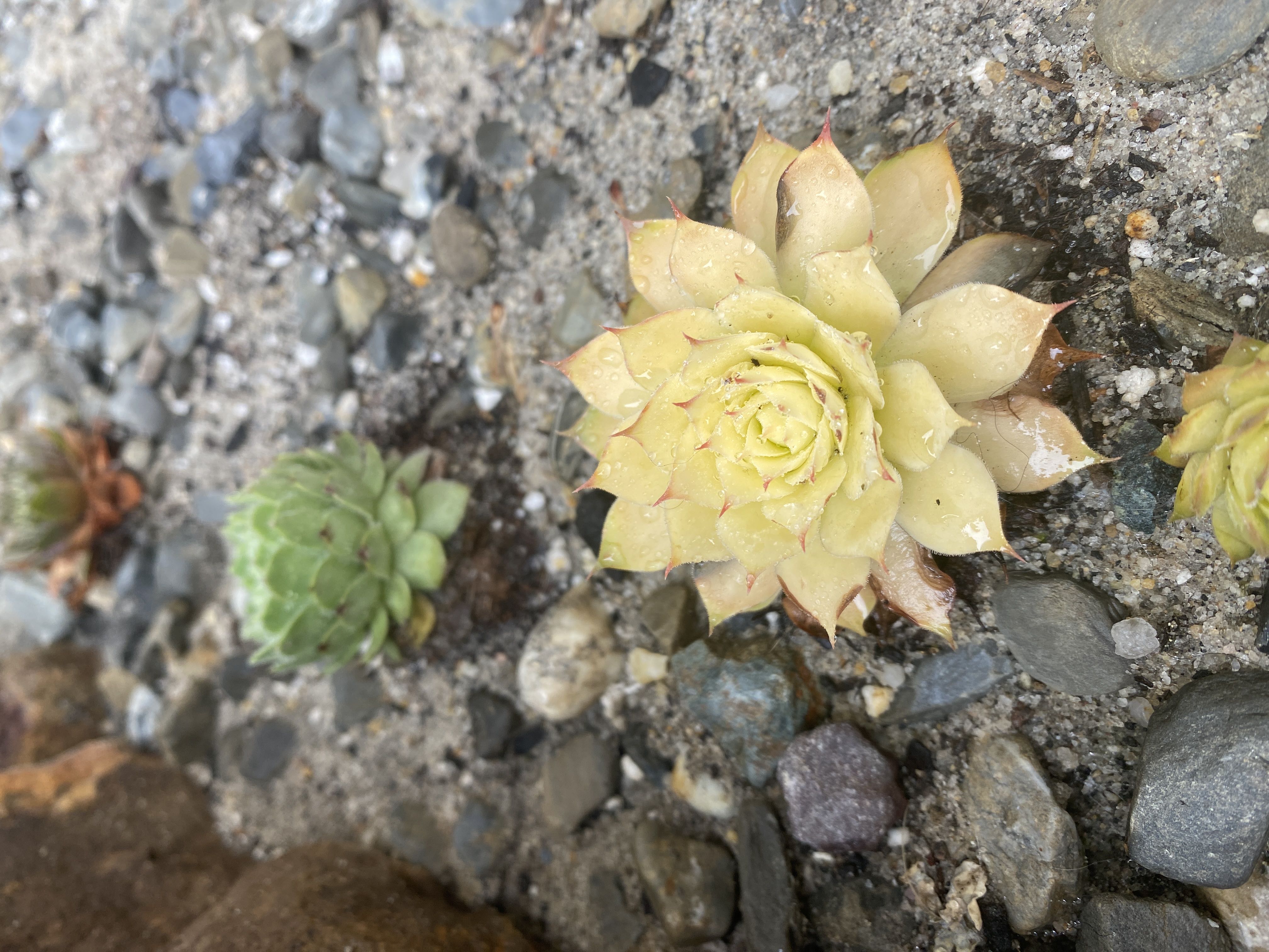 Photo from the post
