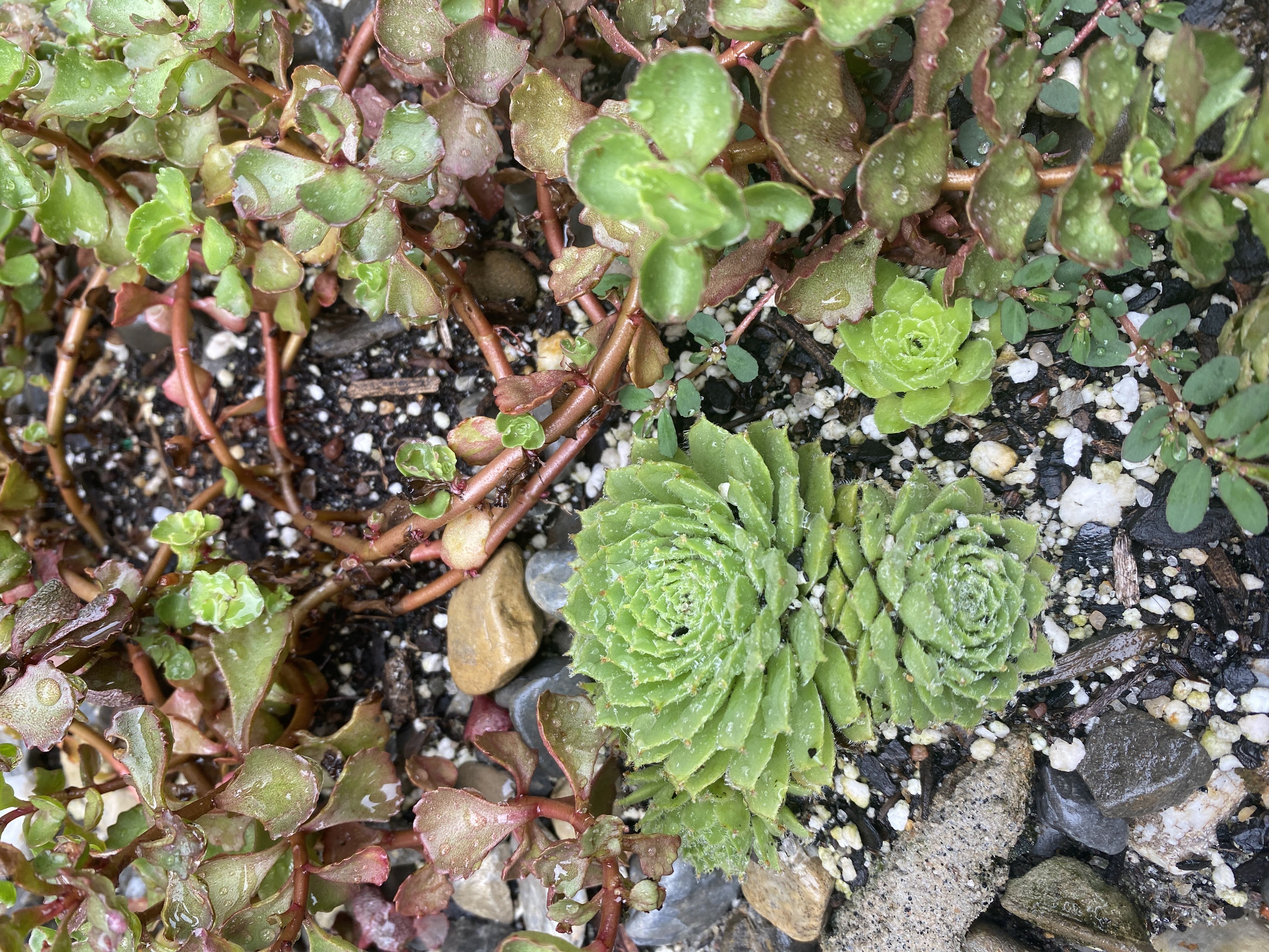 Photo from the post