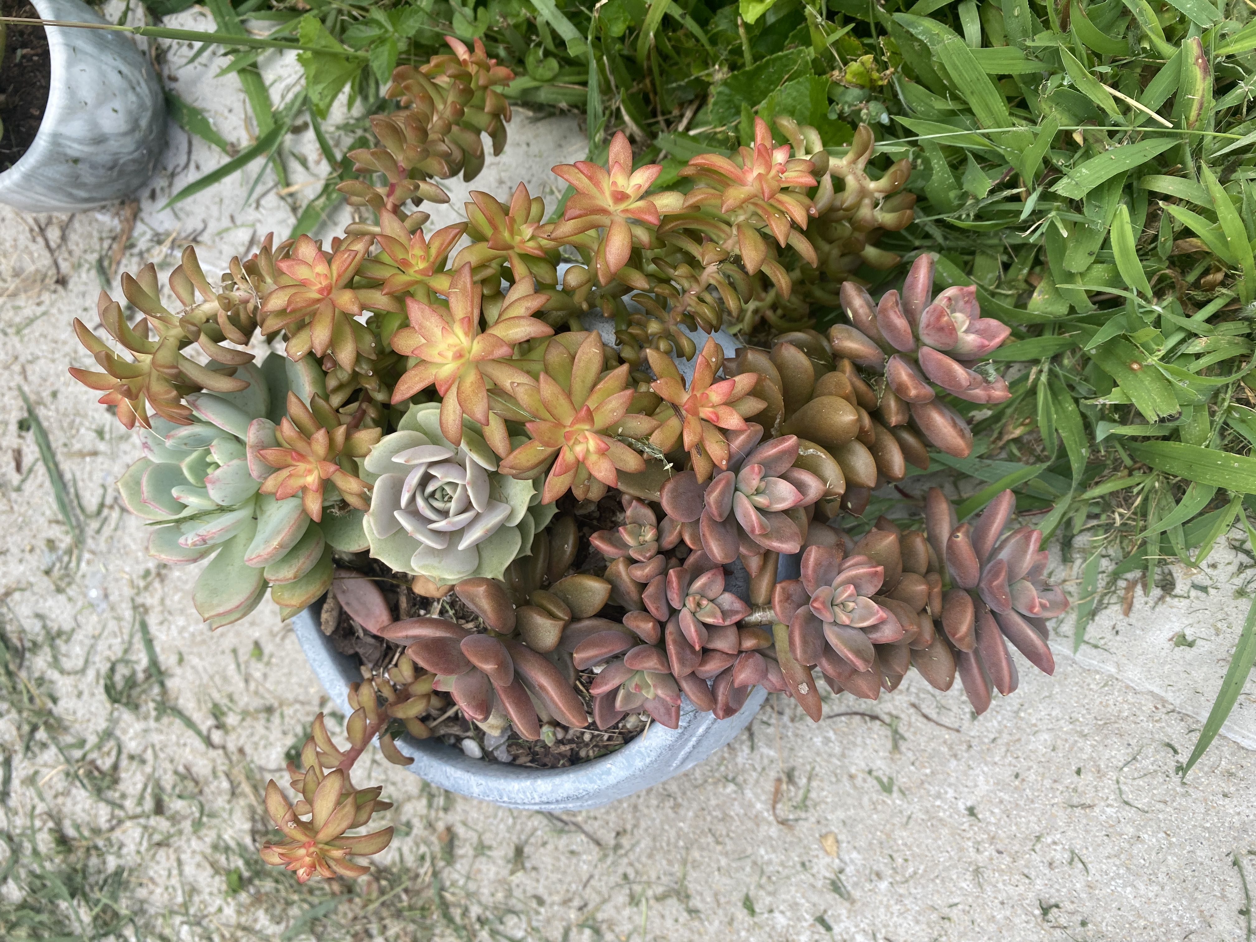Photo from the post