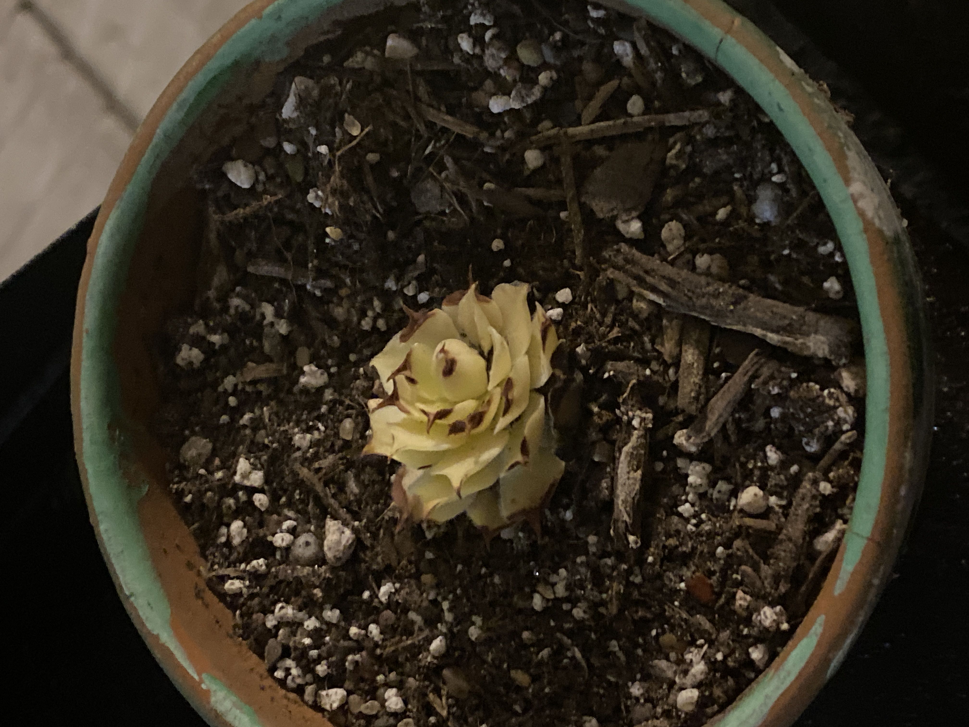 Photo from the post