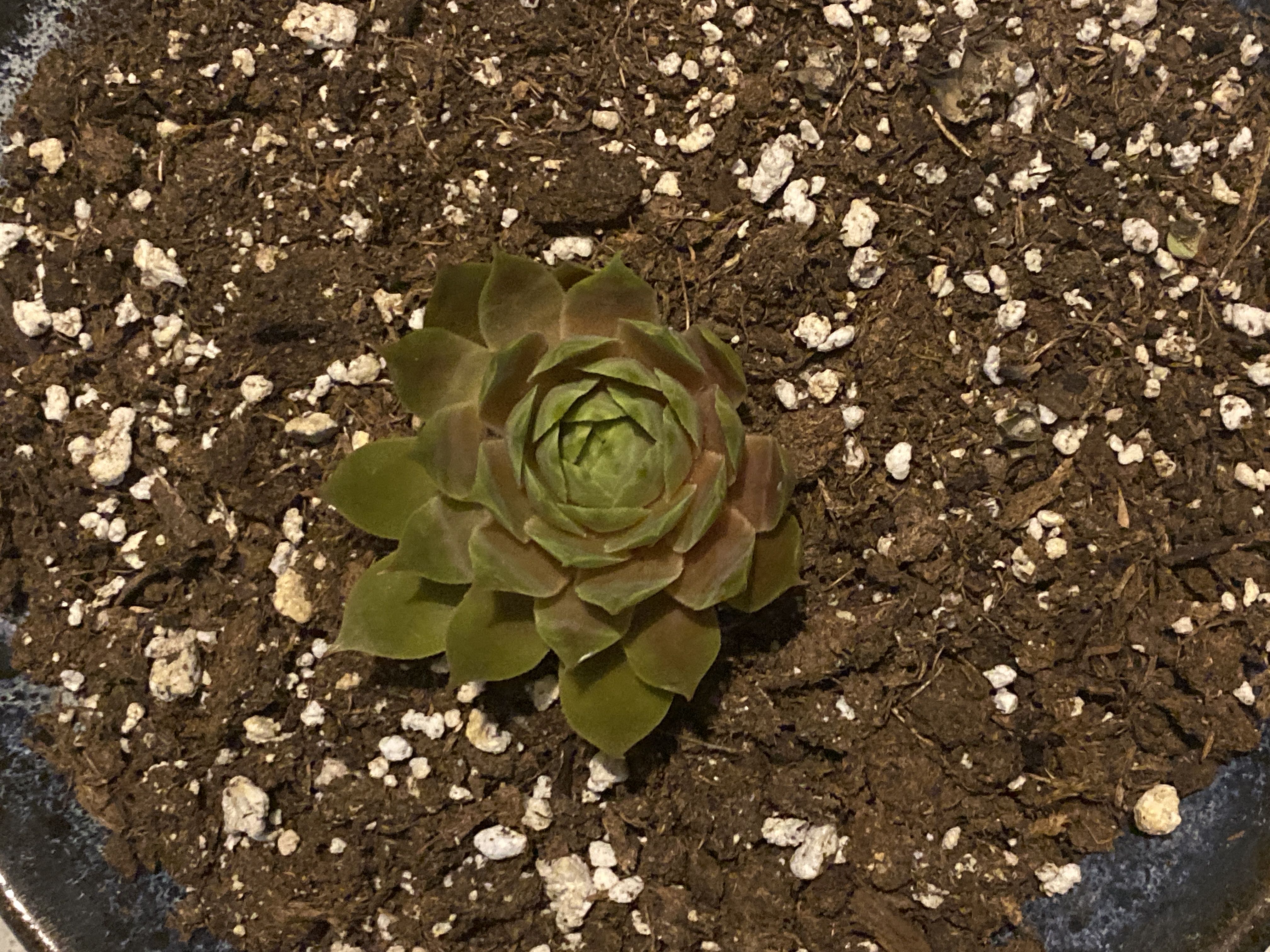Photo from the post