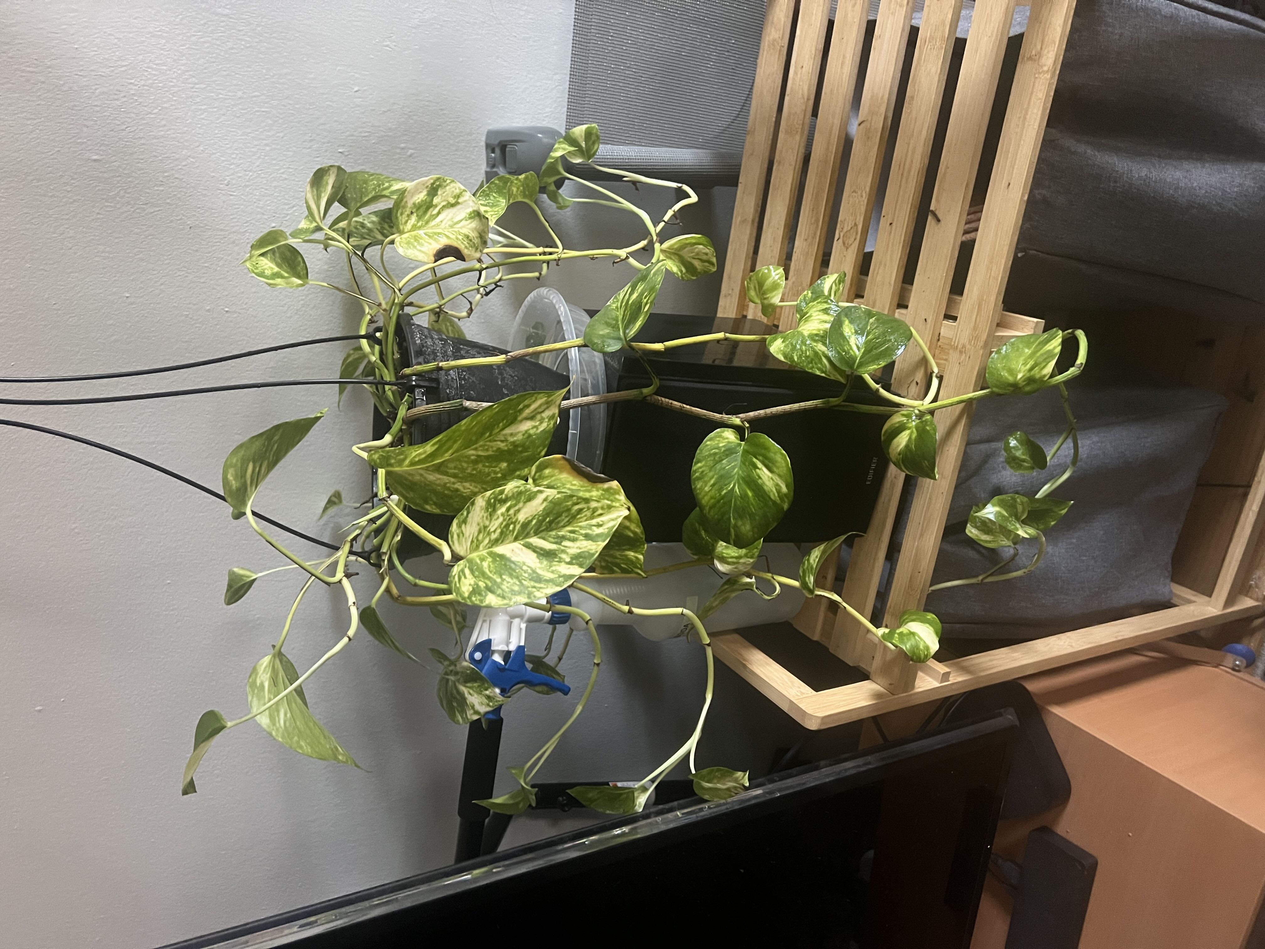 Photo from the post