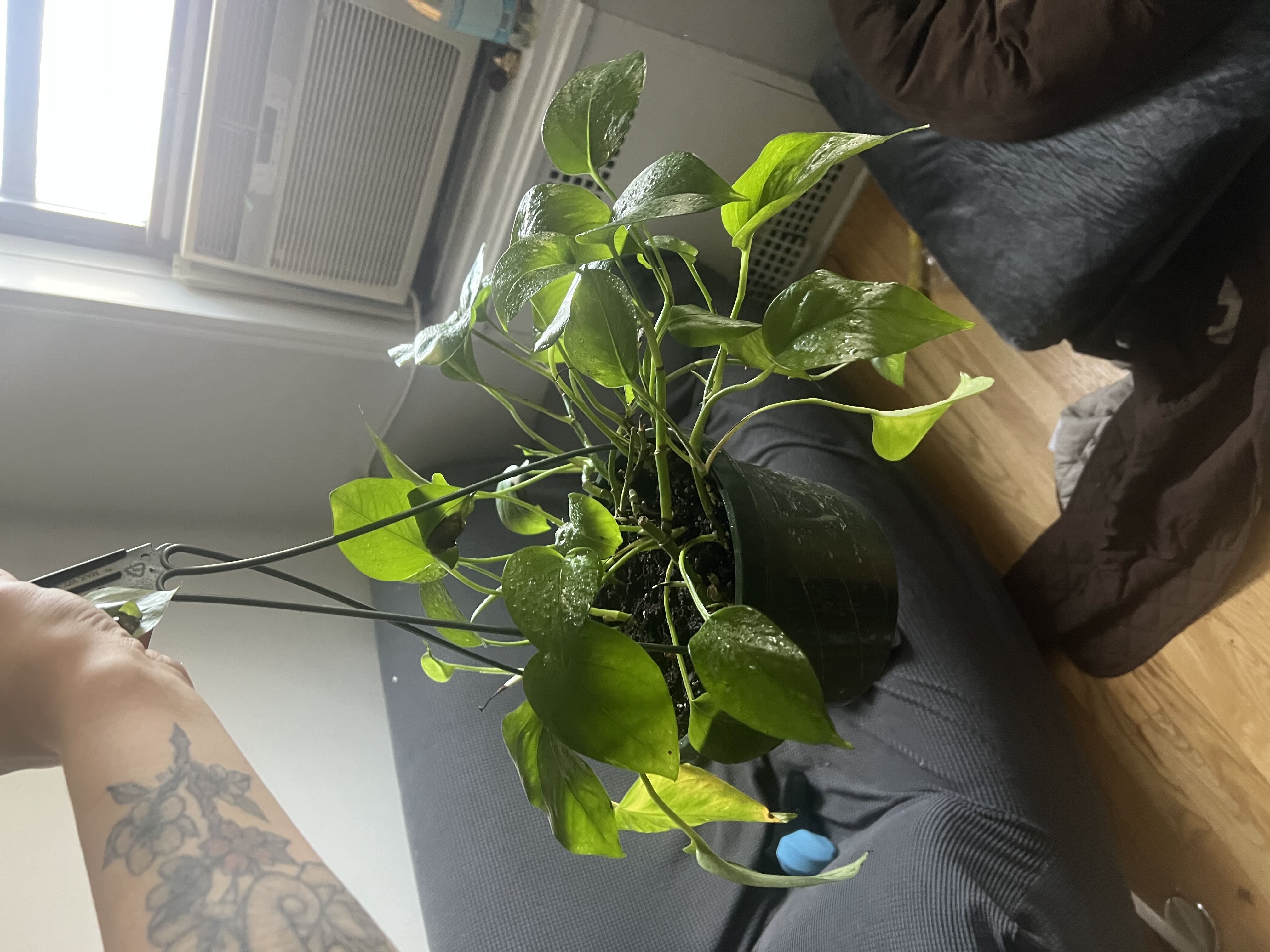 Photo from the post