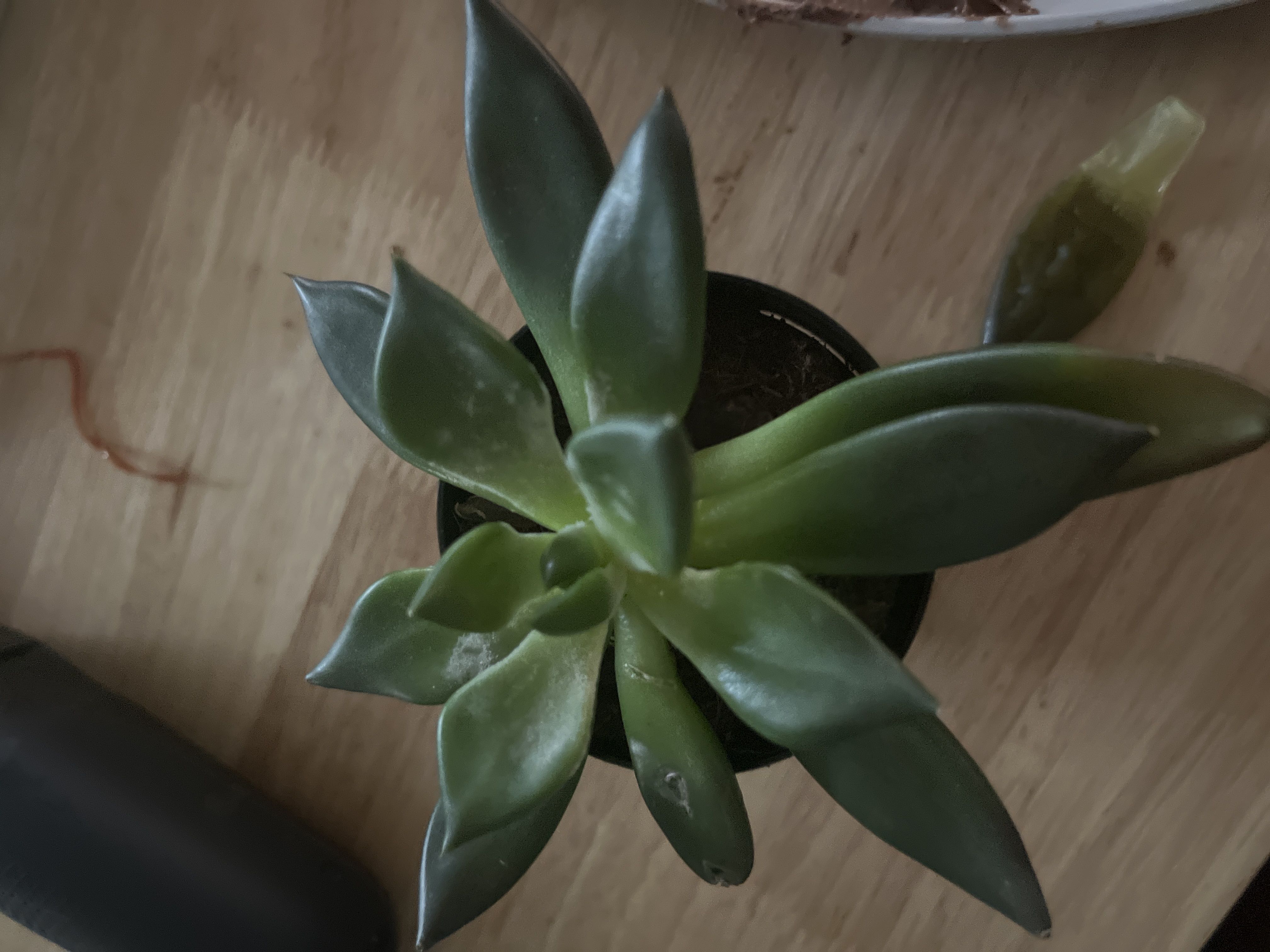 Photo from the post
