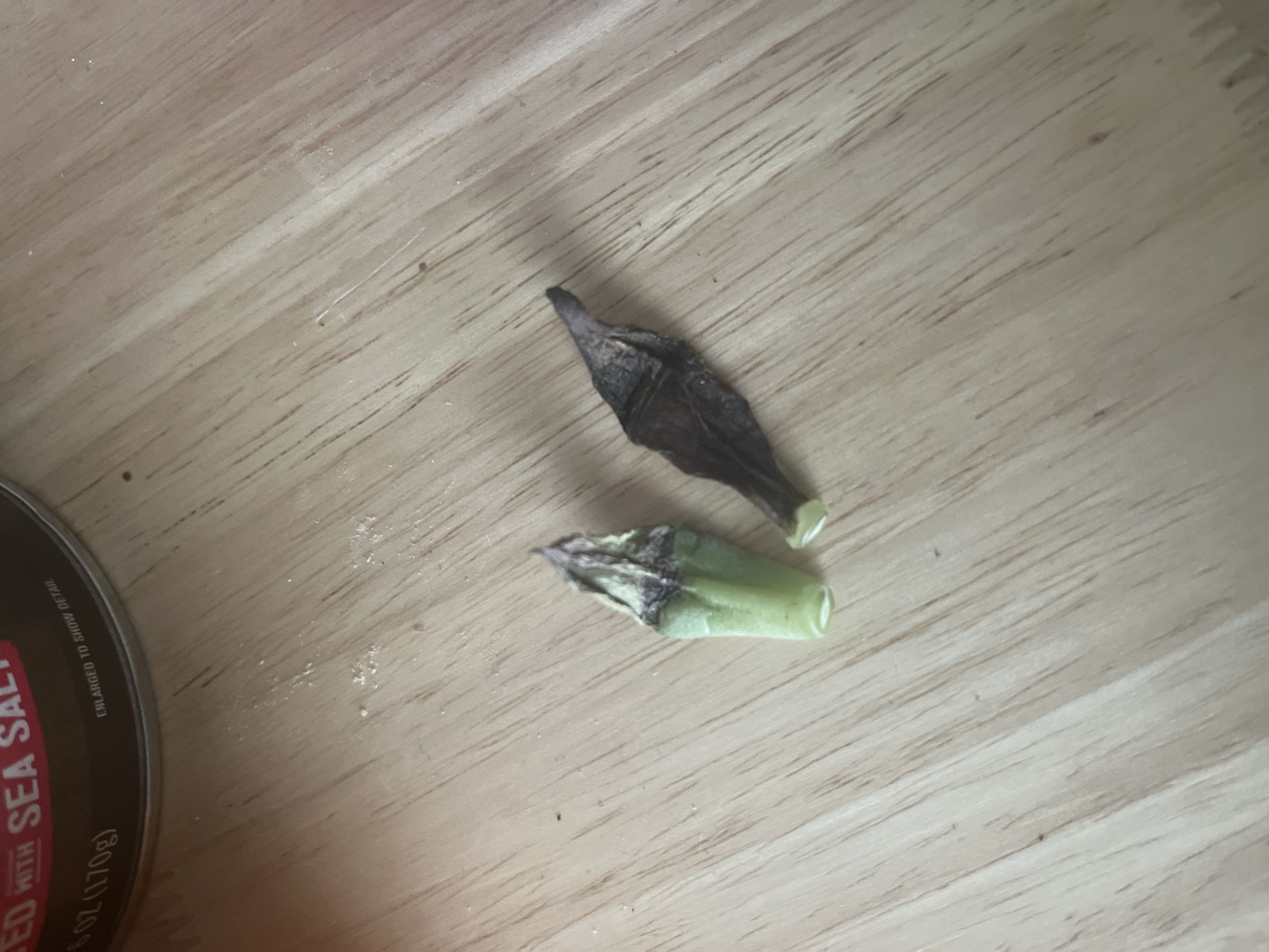 Photo from the post