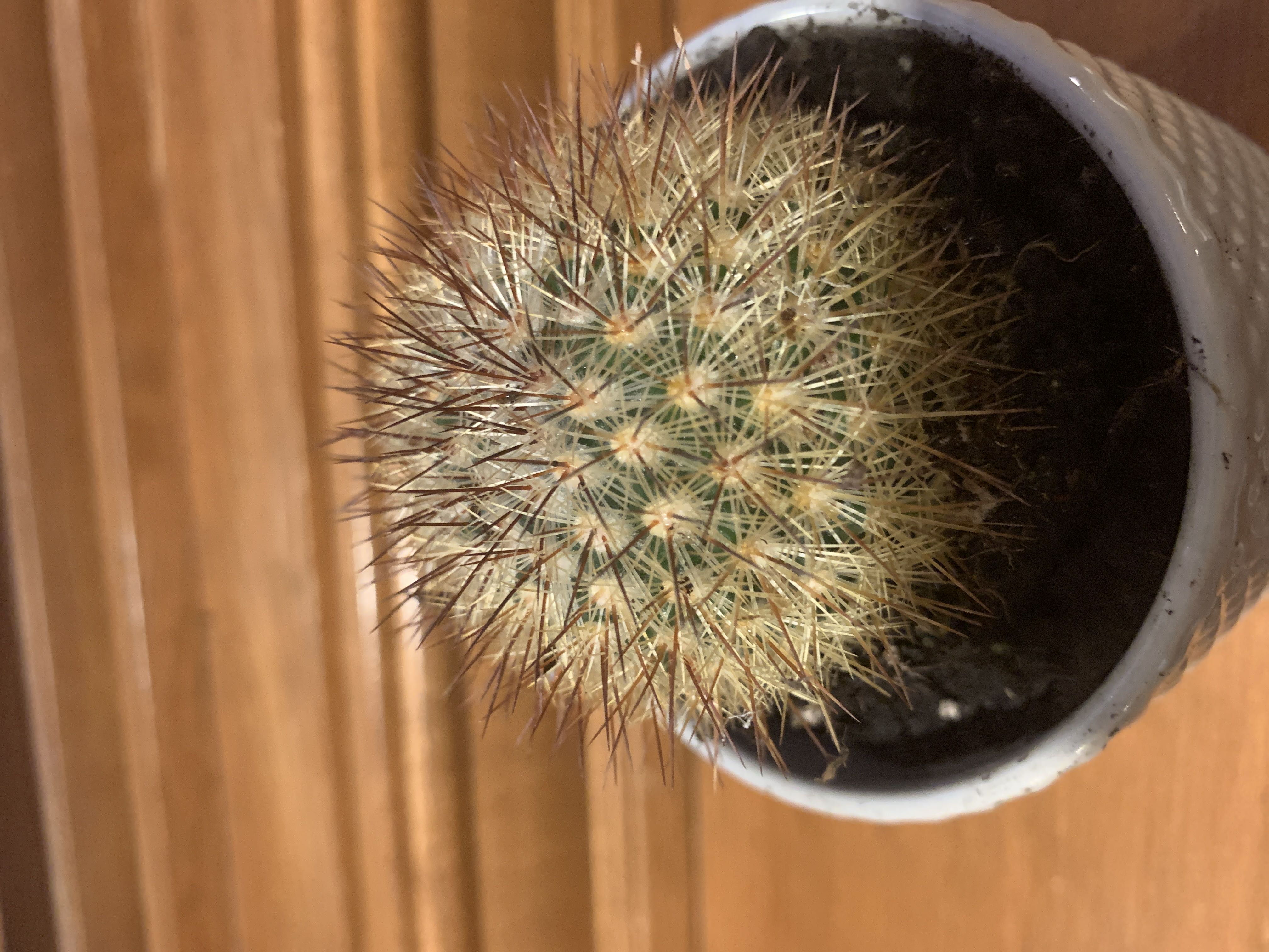 Photo from the post