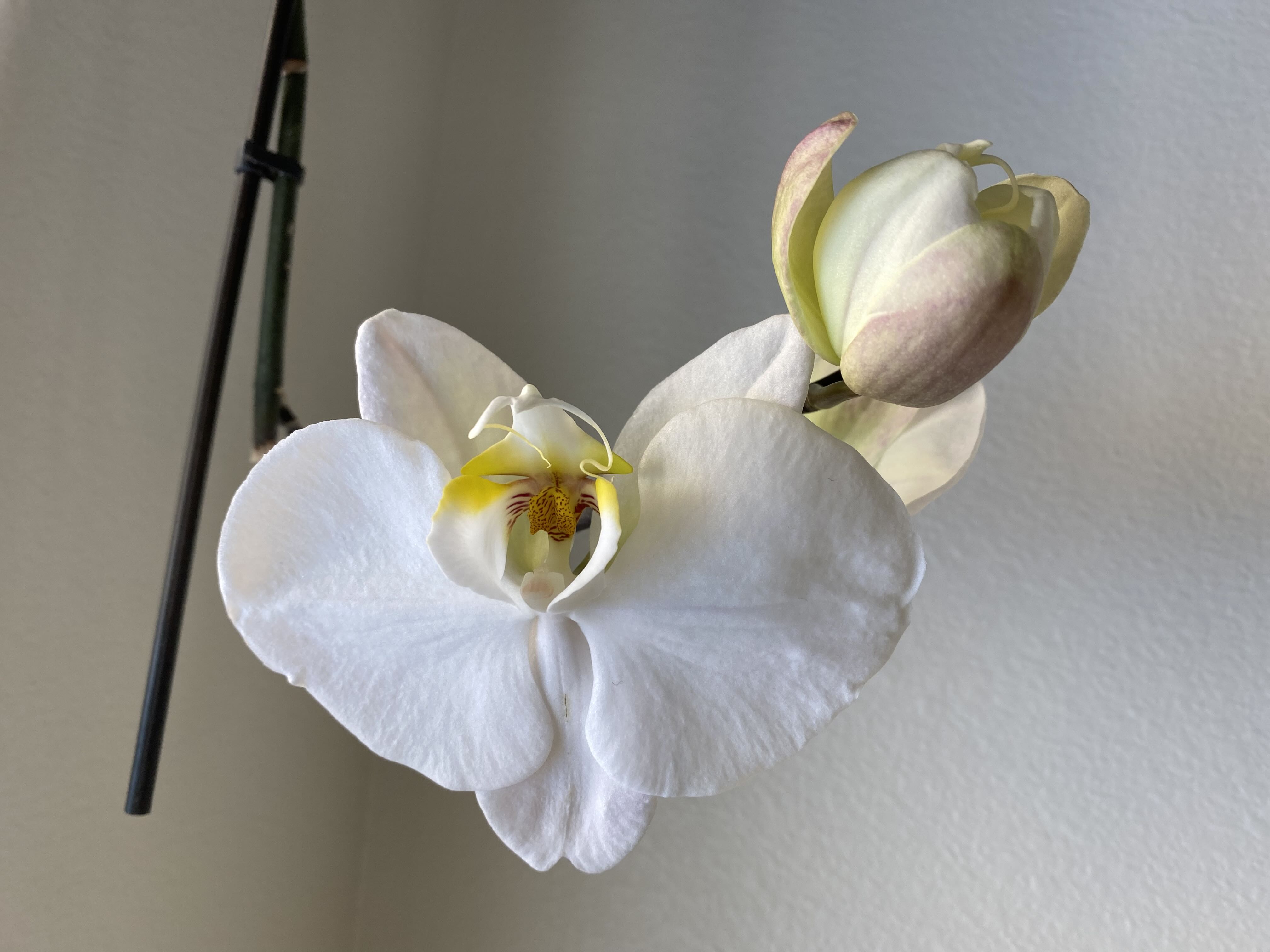 Photo from the post