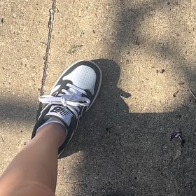 Photo of the plant species Desert Christmas Tree by @FoxyBluefescue named LiloStitch on Greg, the plant care app