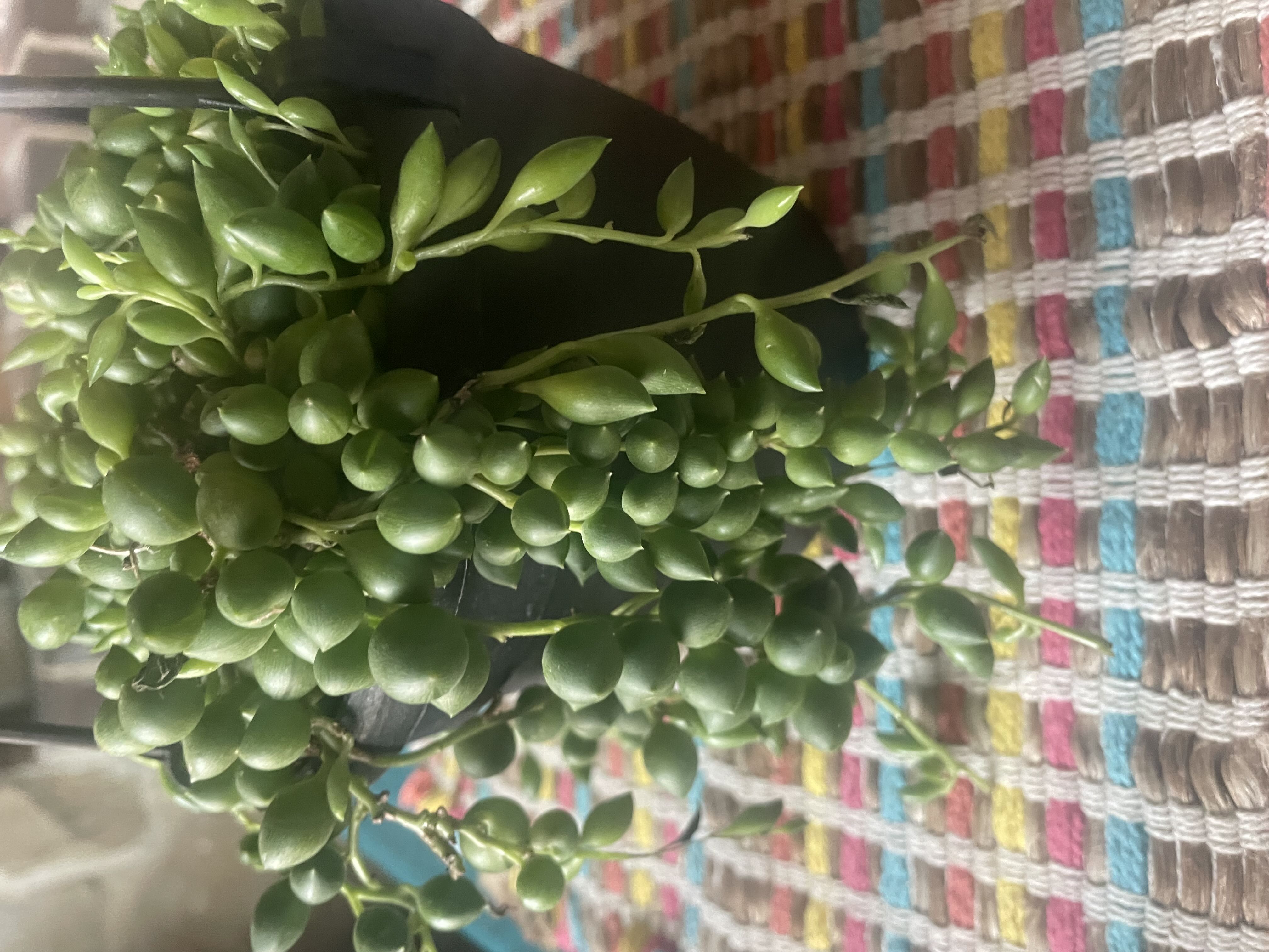 Photo from the post