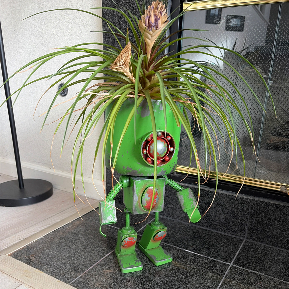 Photo of the plant species Queen of the Bromeliads by @GardenistaGlee named Spike Leaves on Greg, the plant care app