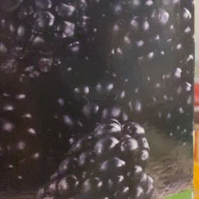 Photo of the plant species Ebony King Blackberry by @ZippyLavender named Blackberry on Greg, the plant care app