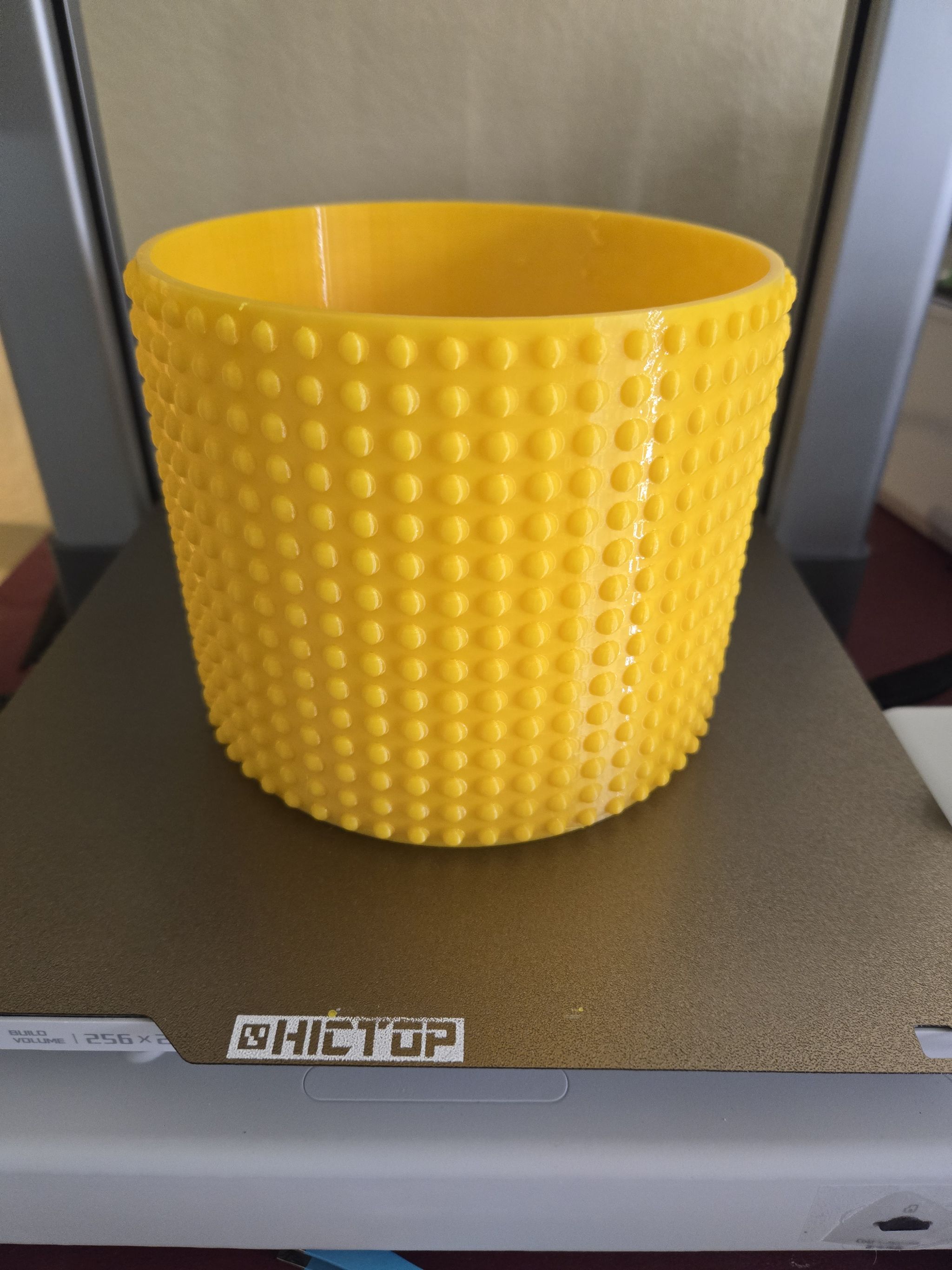 Photo from the post