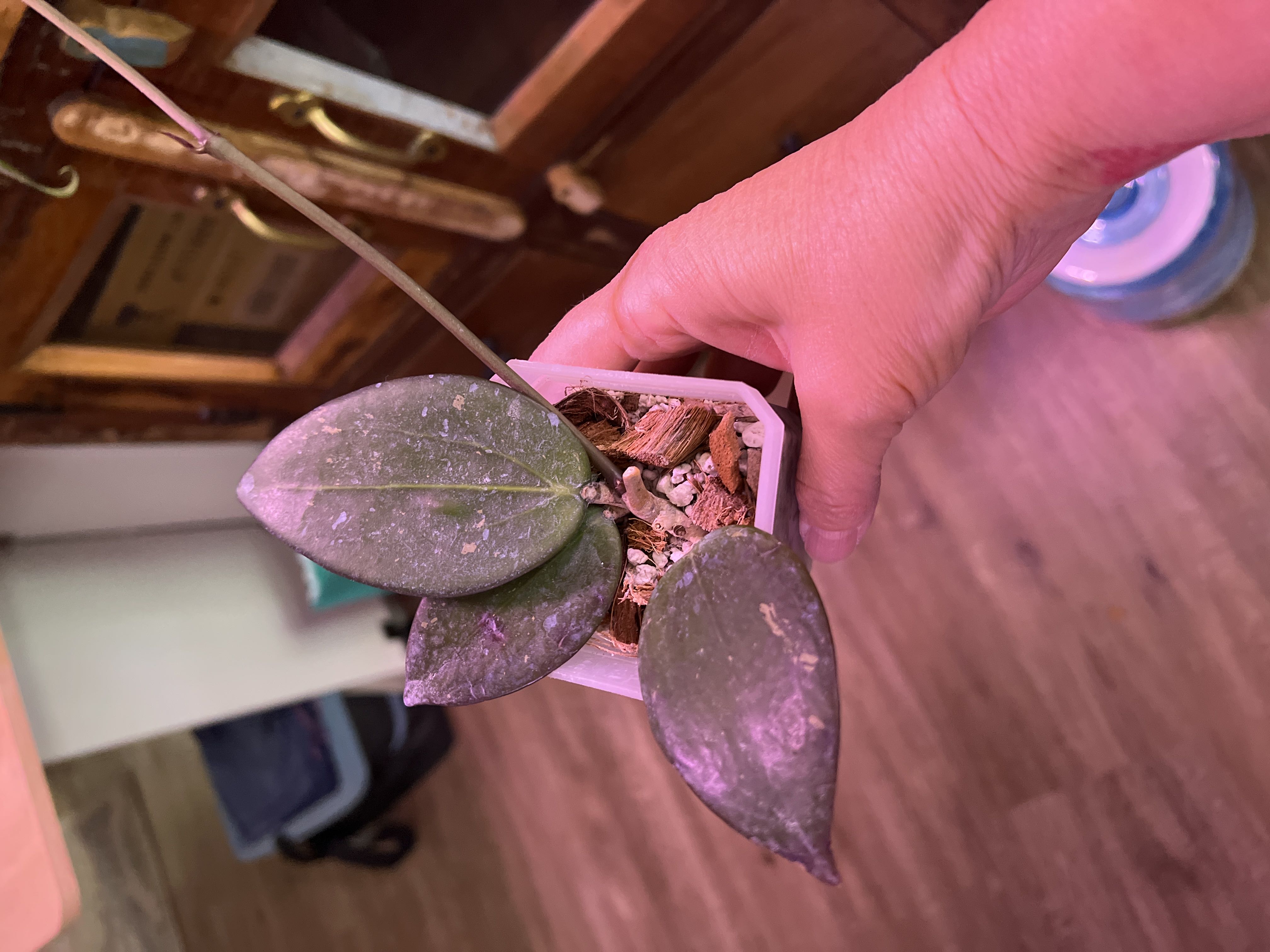 Photo from the post