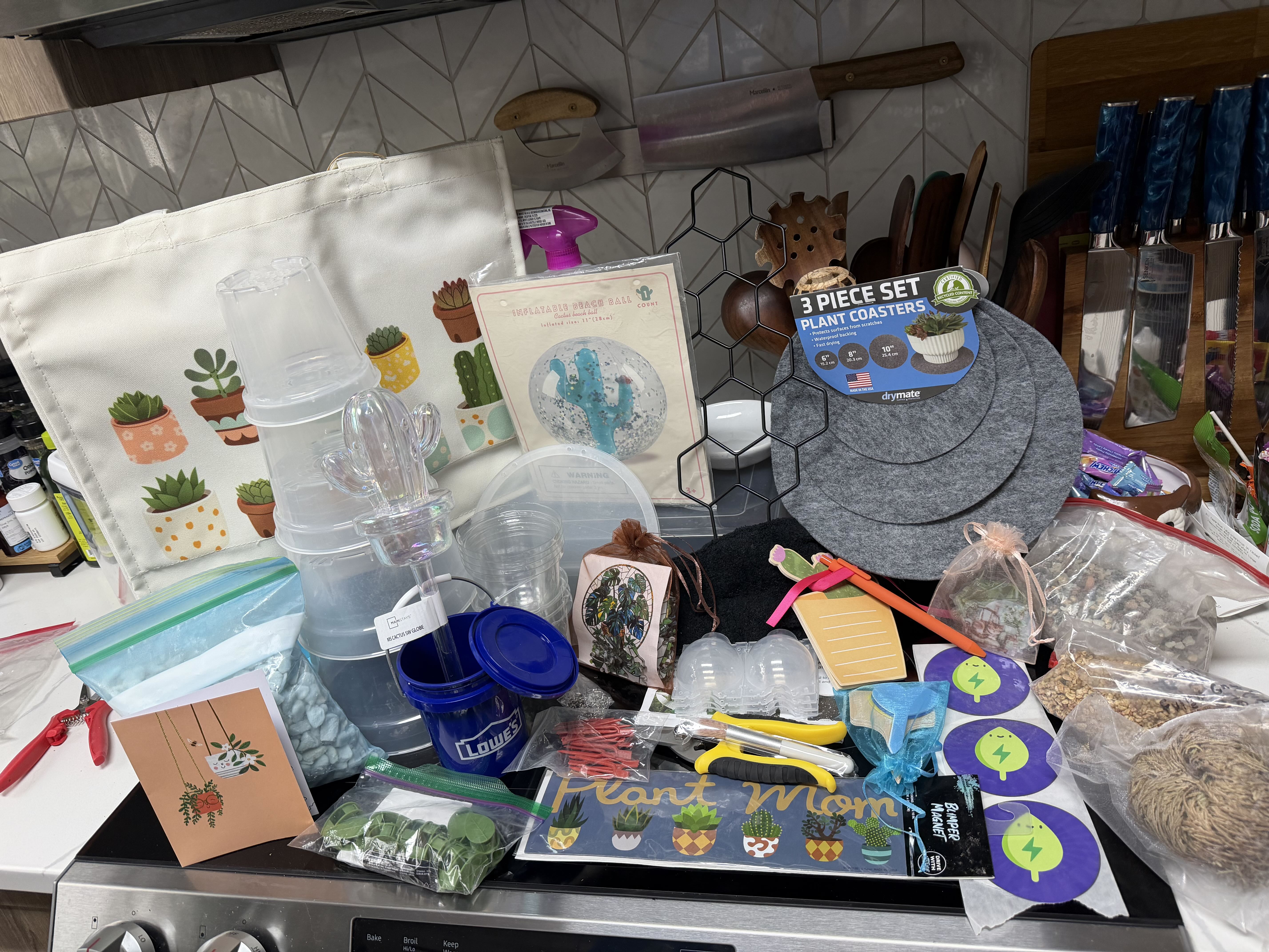 Photo from the post