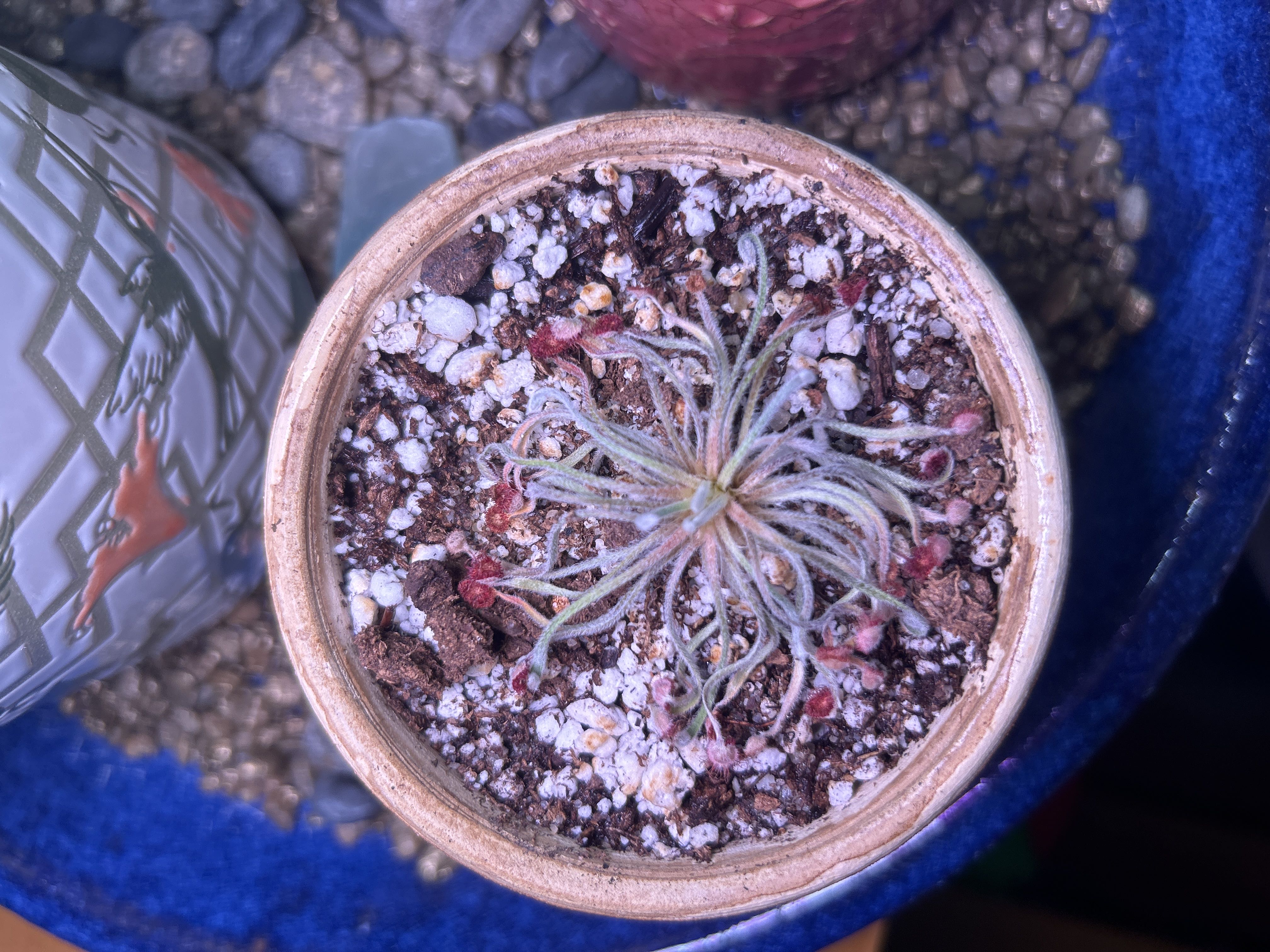 Photo from the post