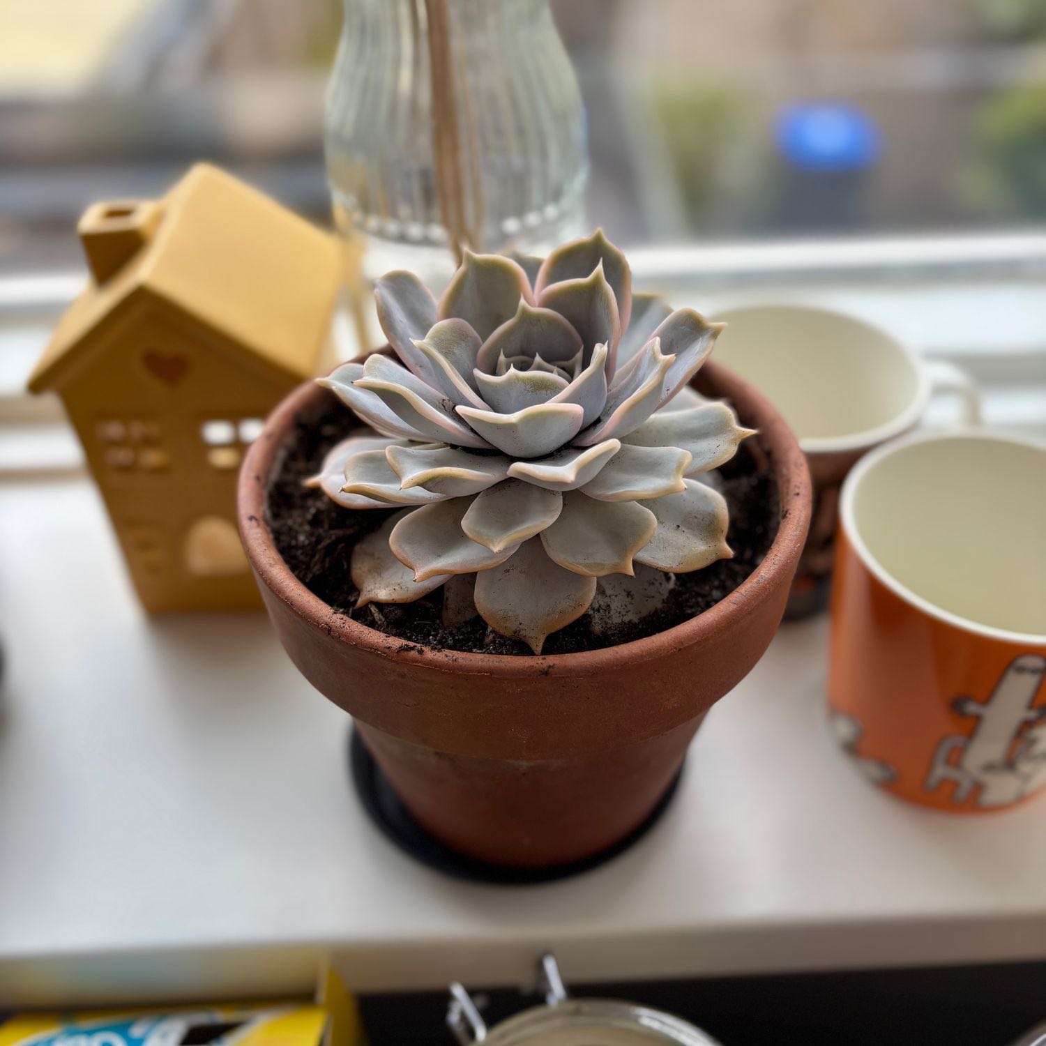 Photo from the post