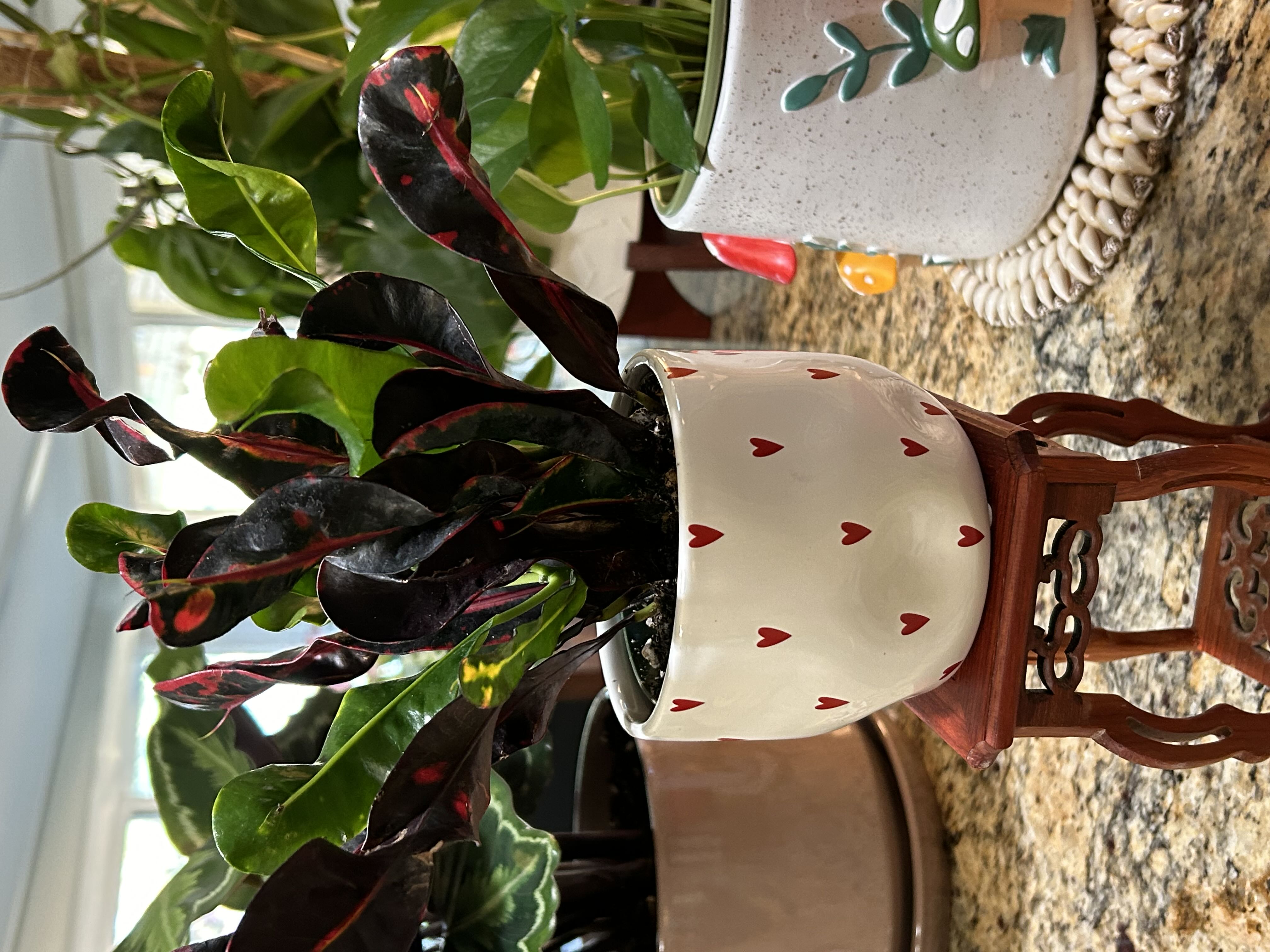 Photo from the post
