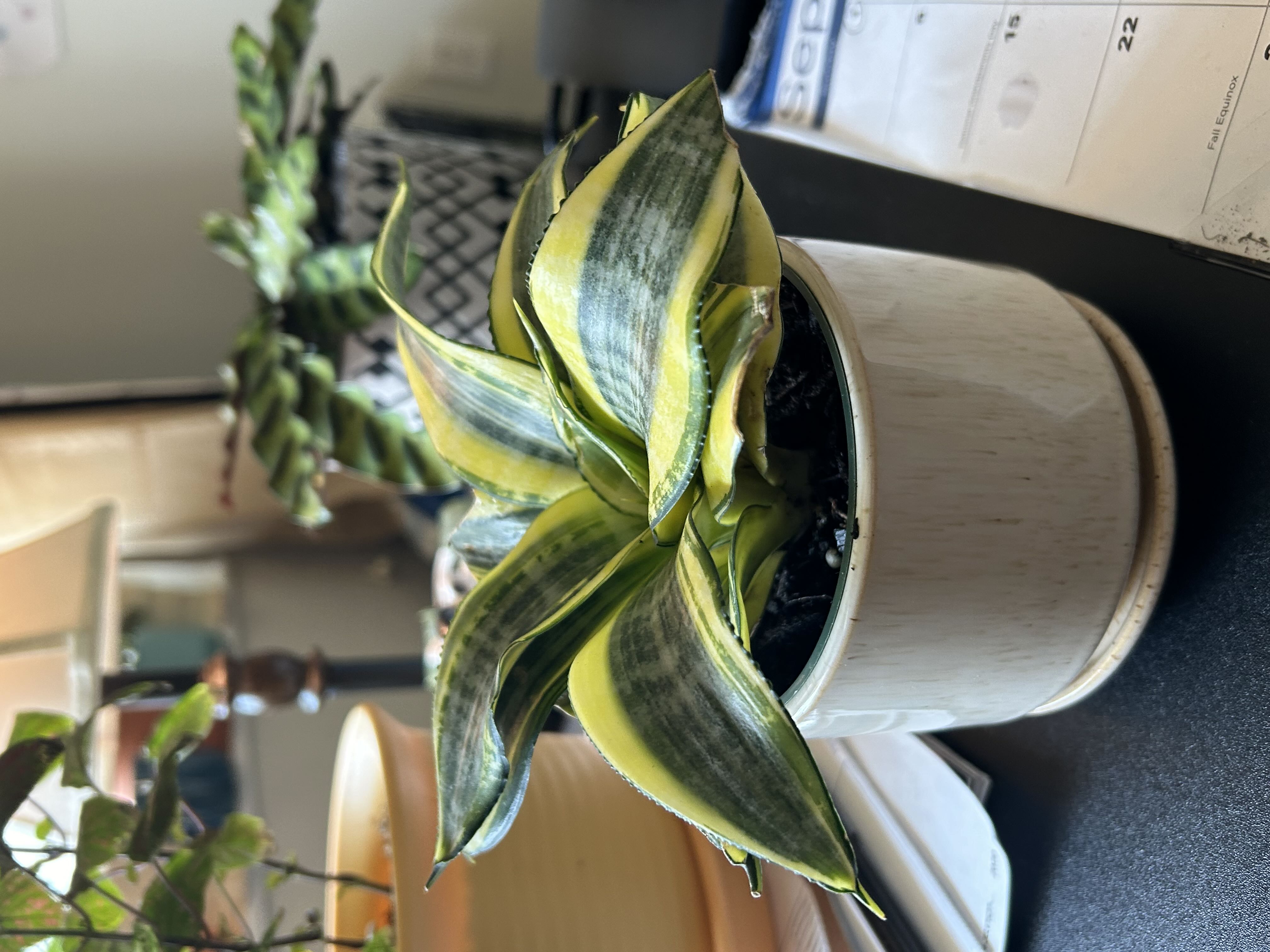 Photo from the post