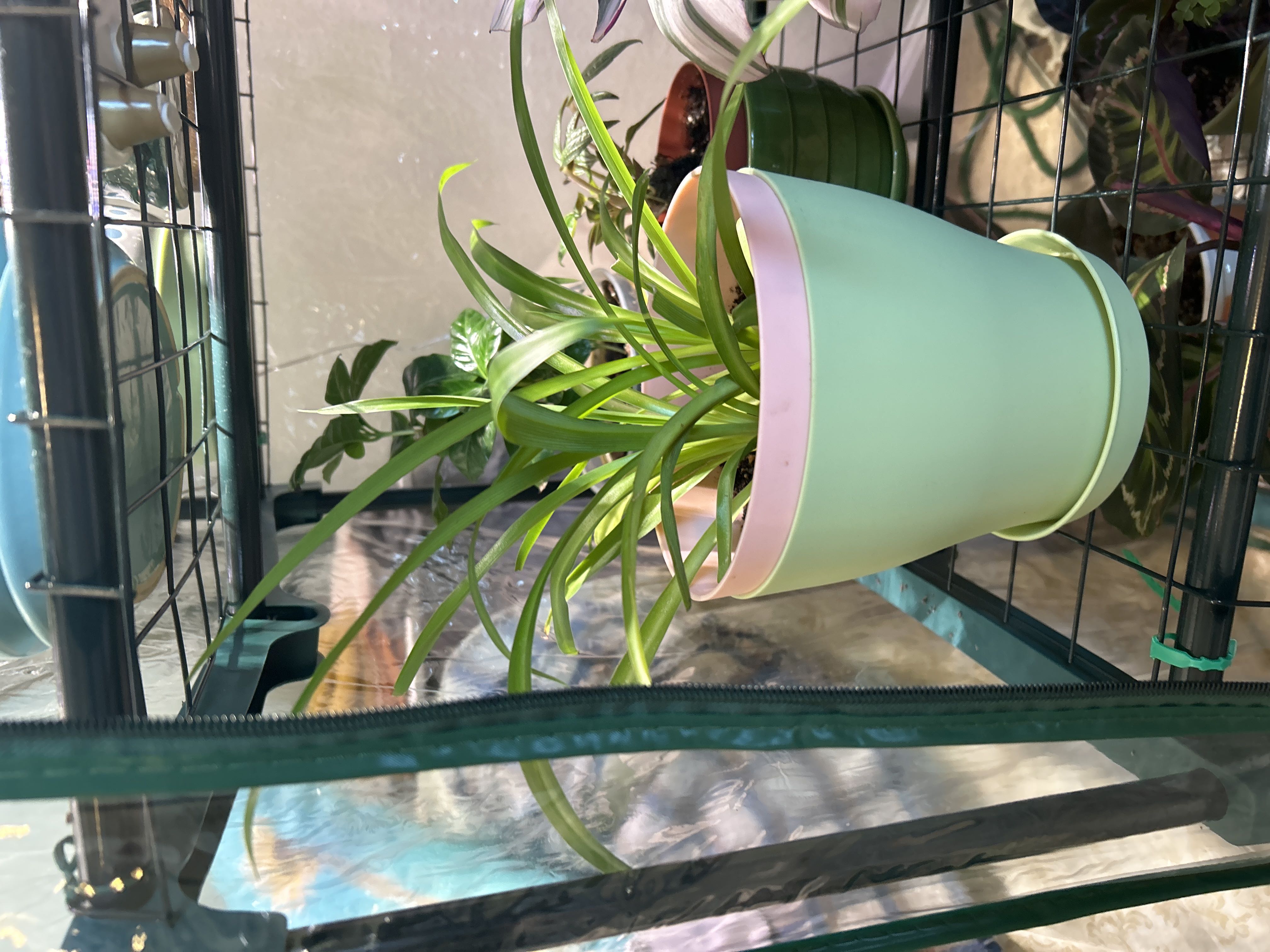 Photo from the post