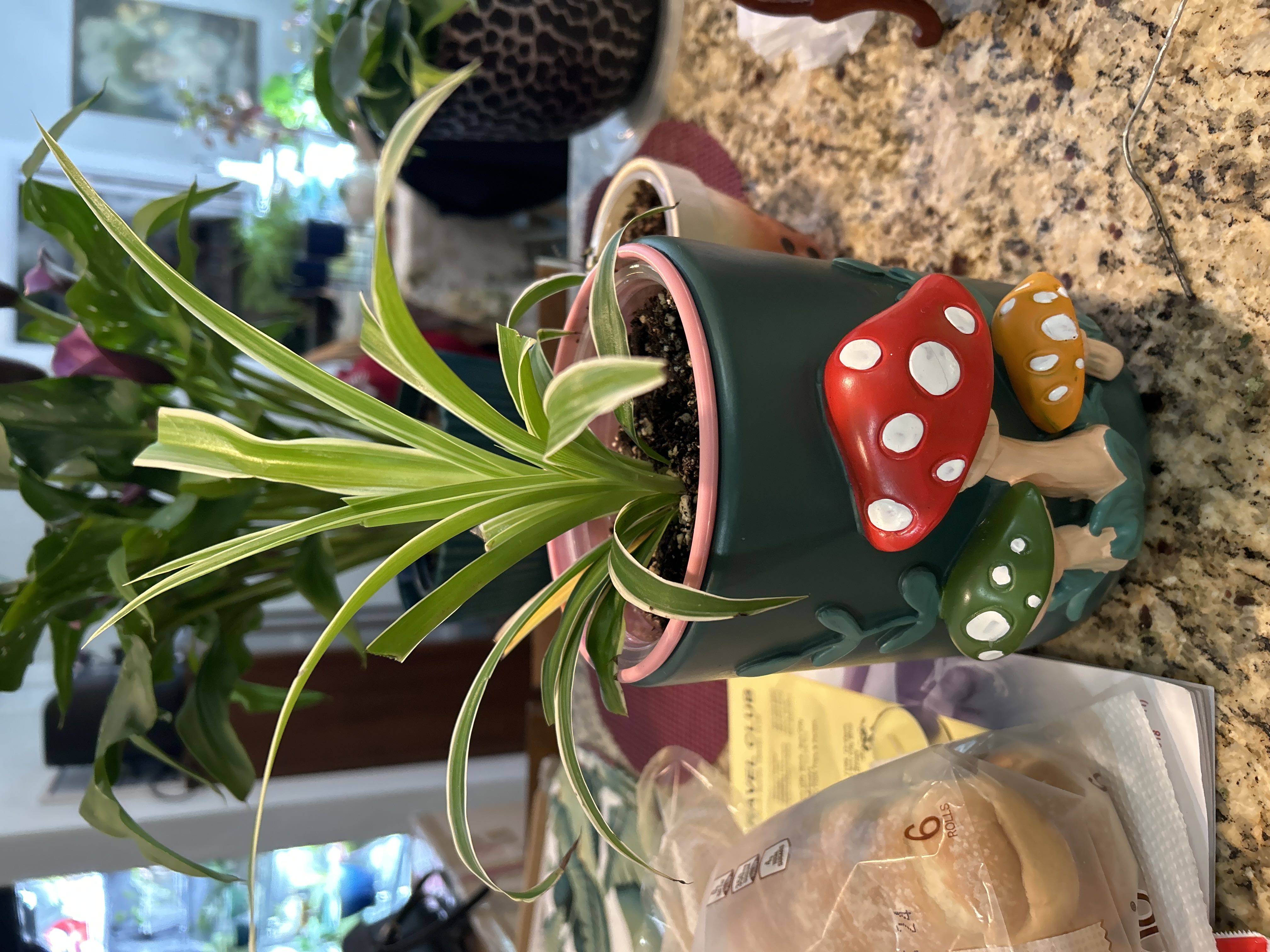 Photo from the post