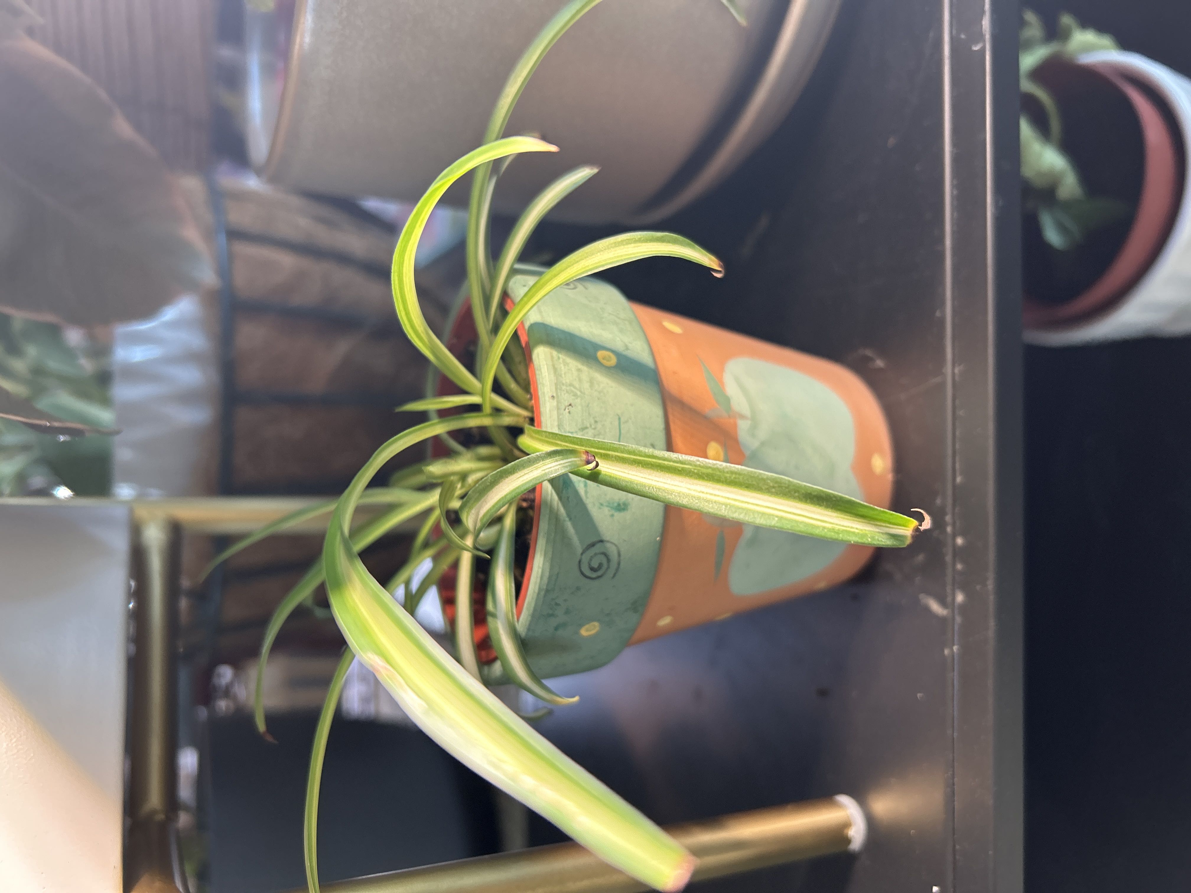 Photo from the post