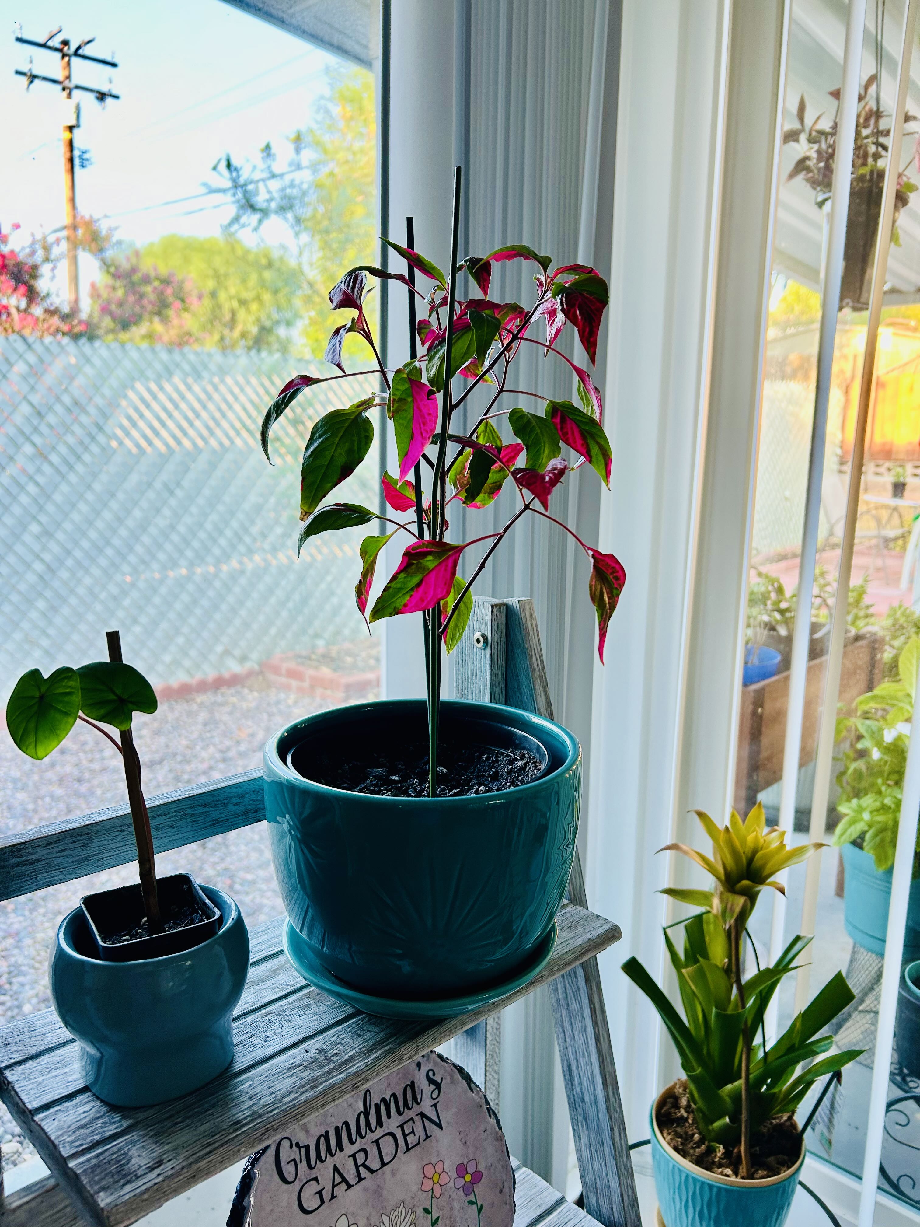 Photo from the post