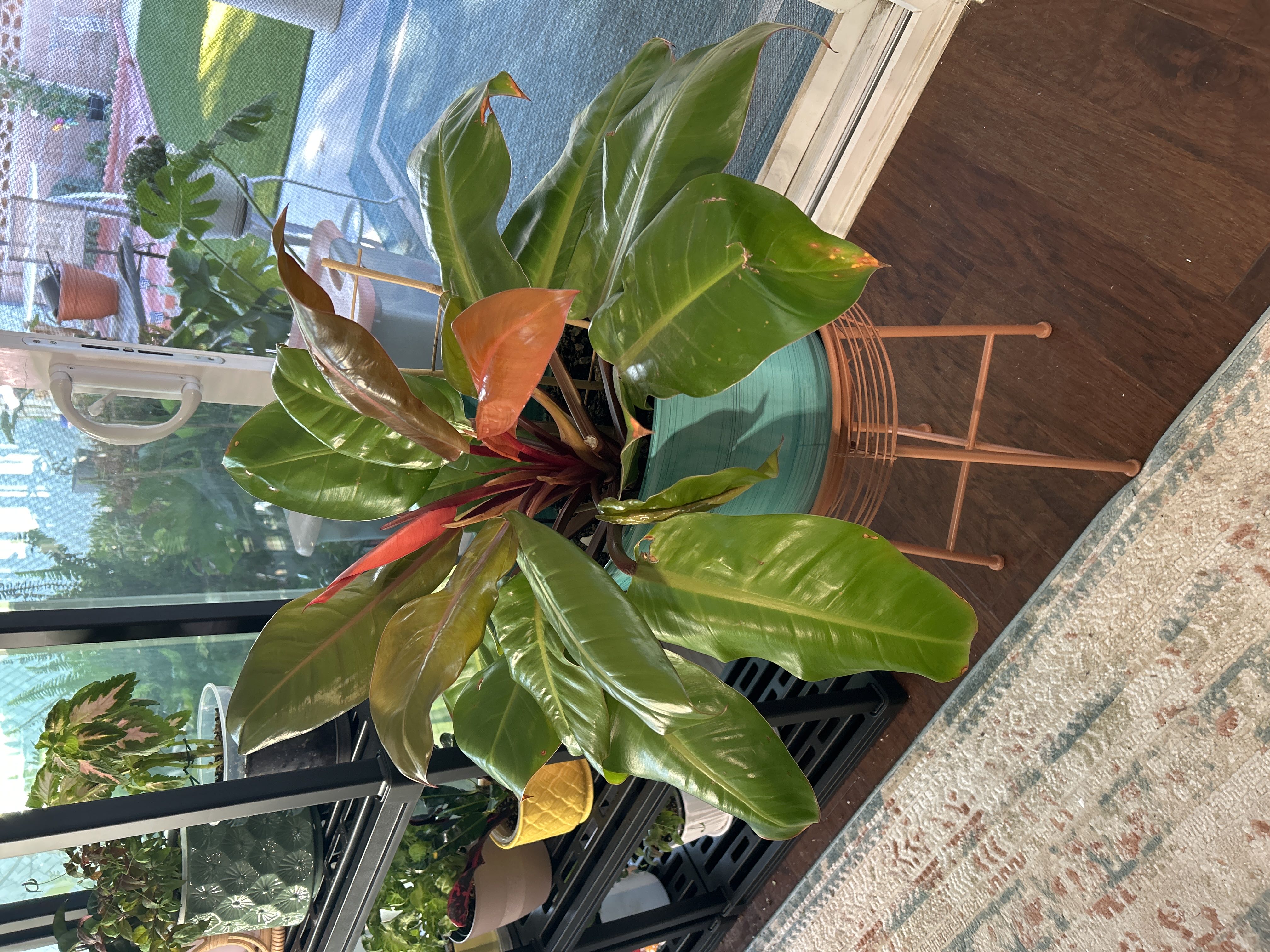 Photo from the post