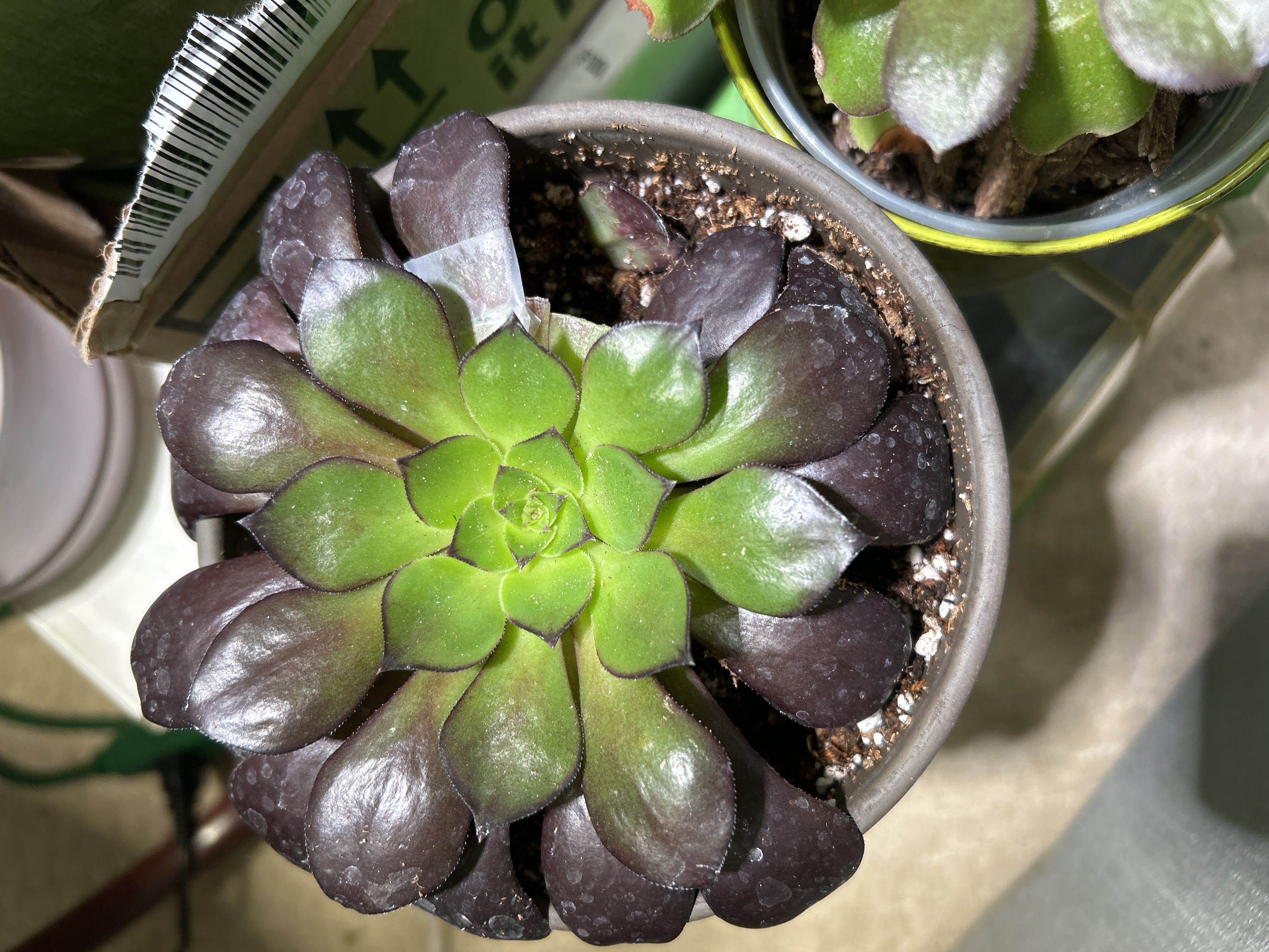 Photo from the post