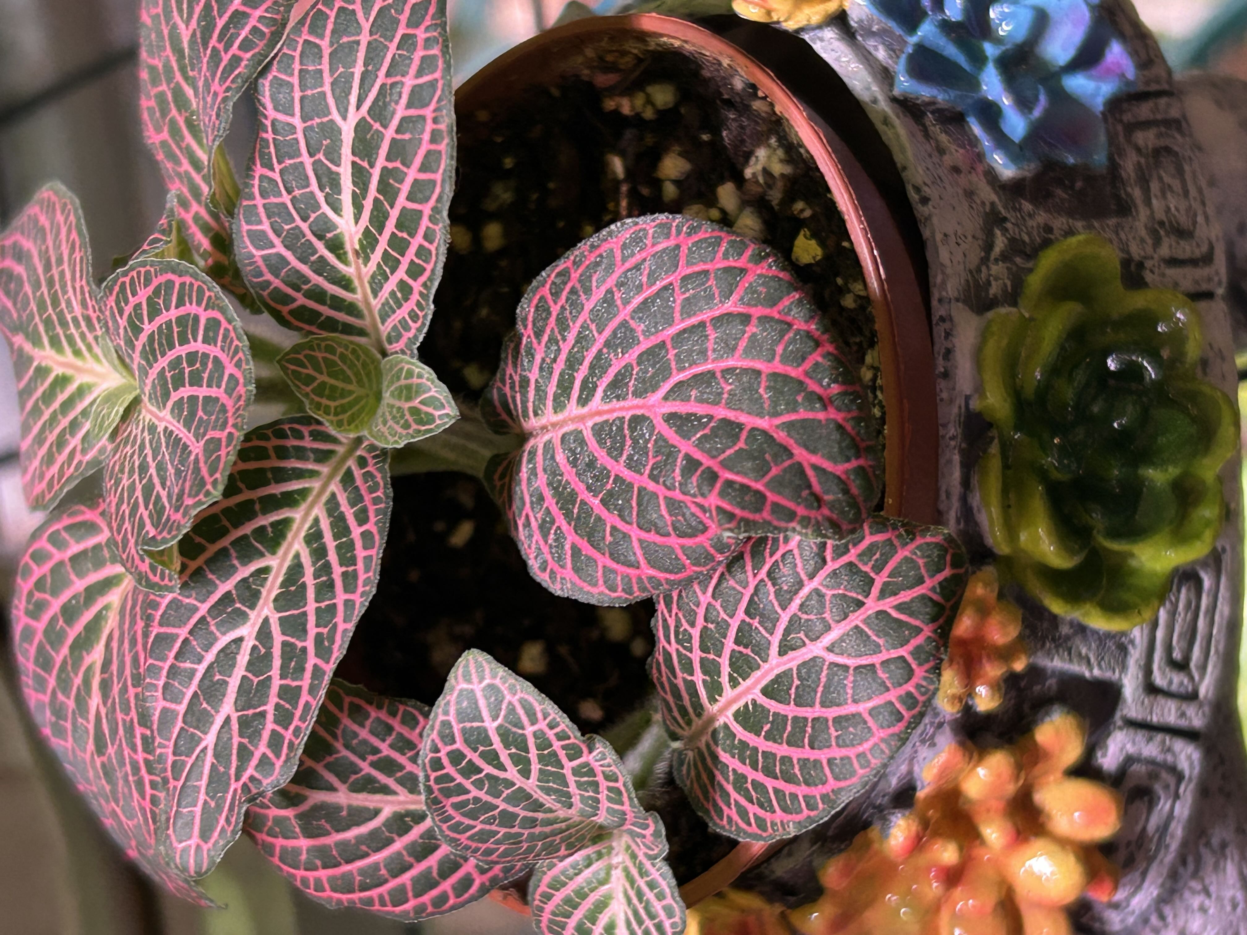 Photo from the post