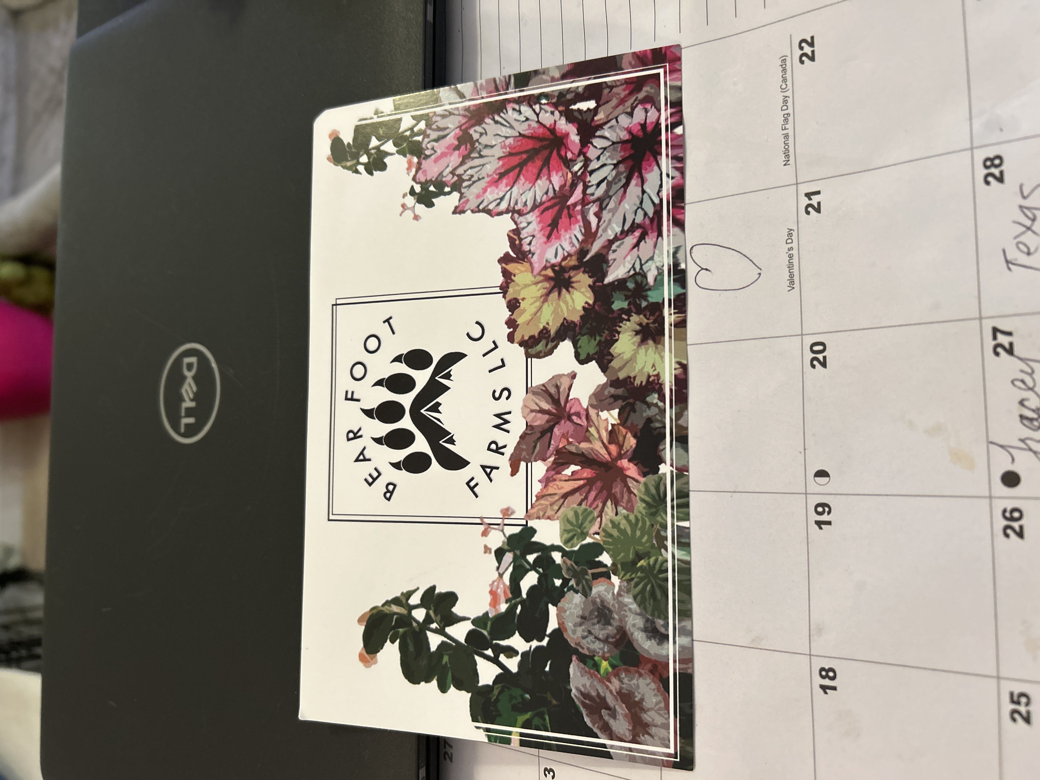 Photo from the post