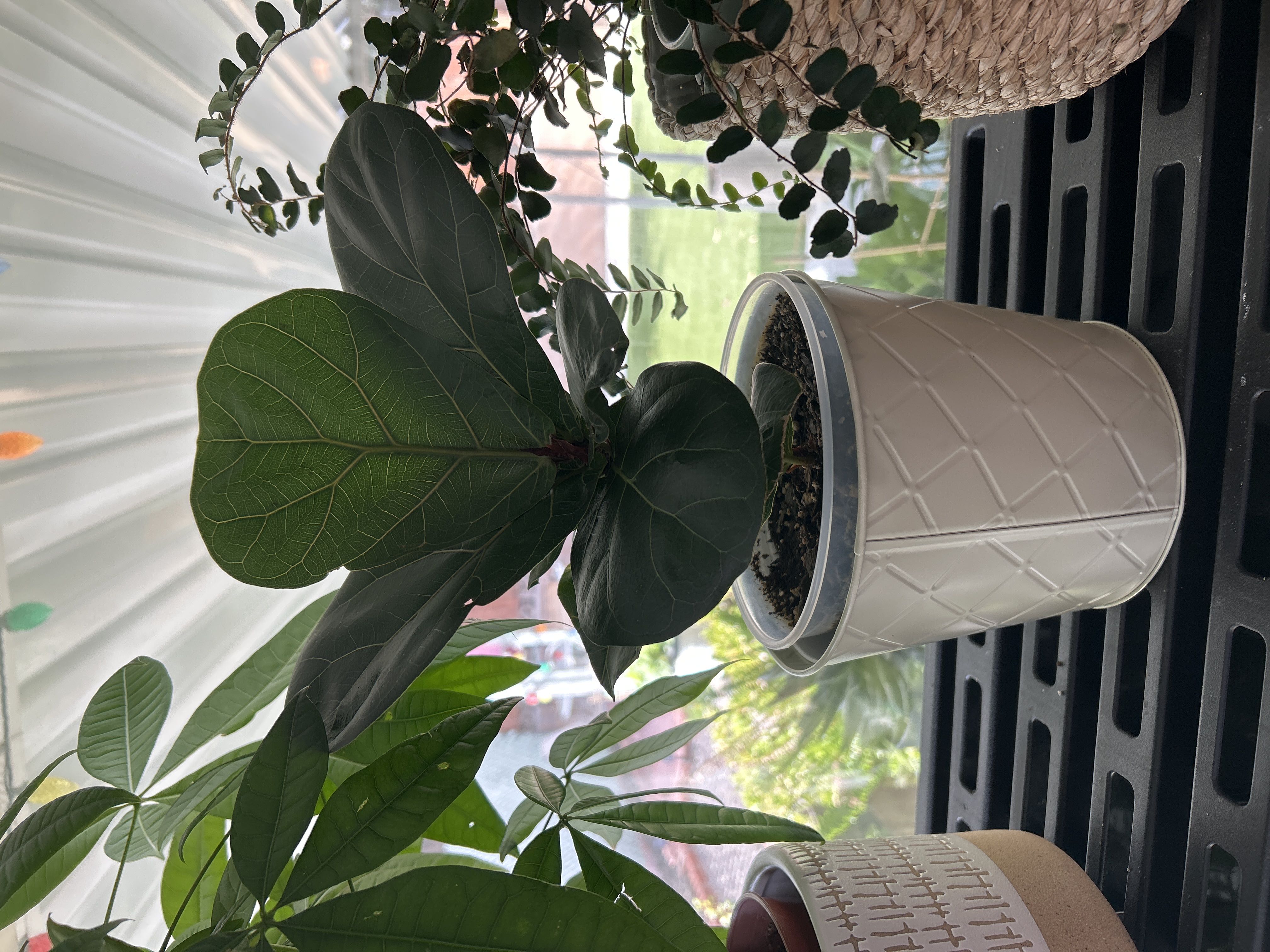 Photo from the post
