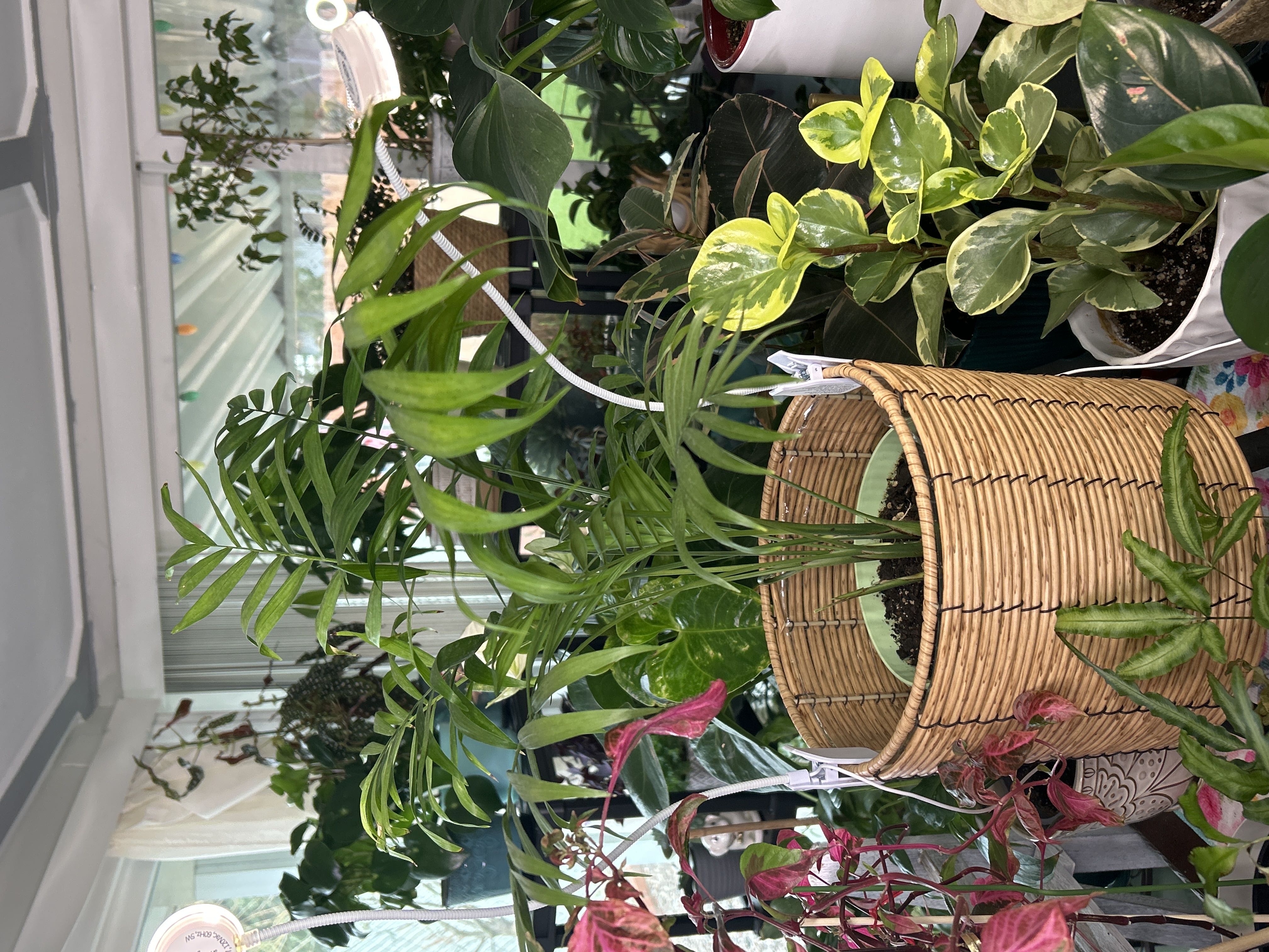 Photo from the post