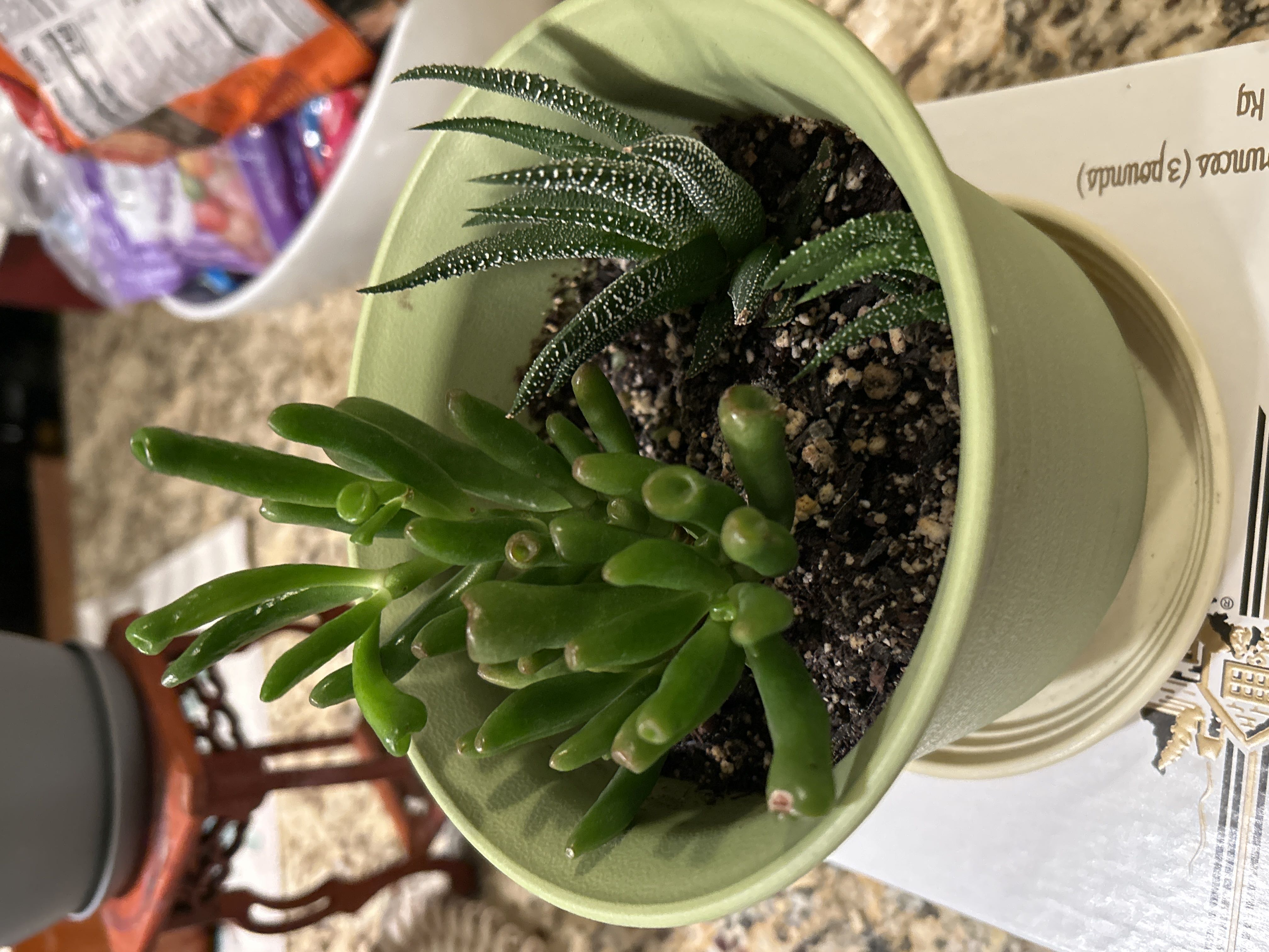 Photo from the post
